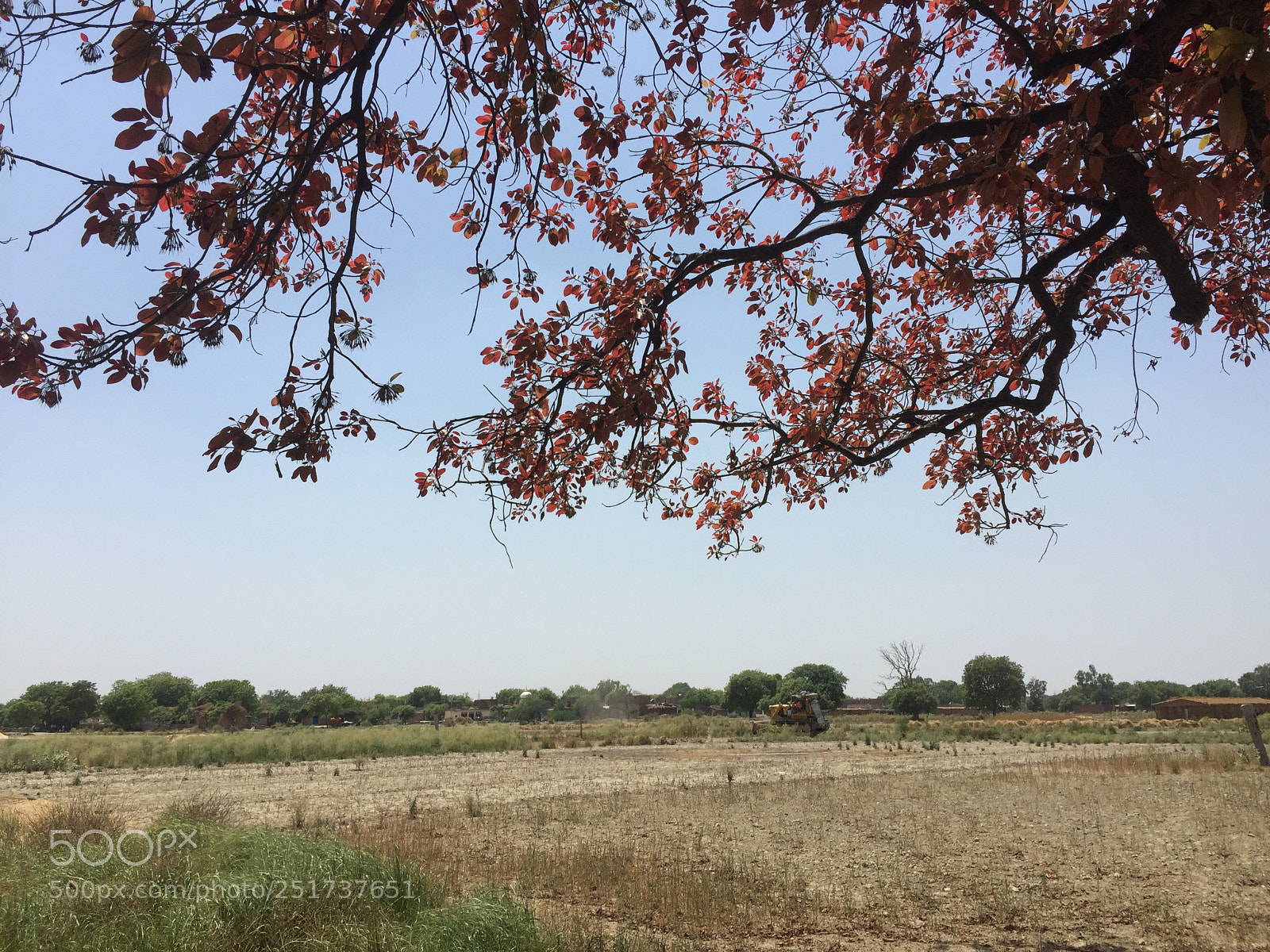 Apple iPhone 6 Plus sample photo. End of spring and photography