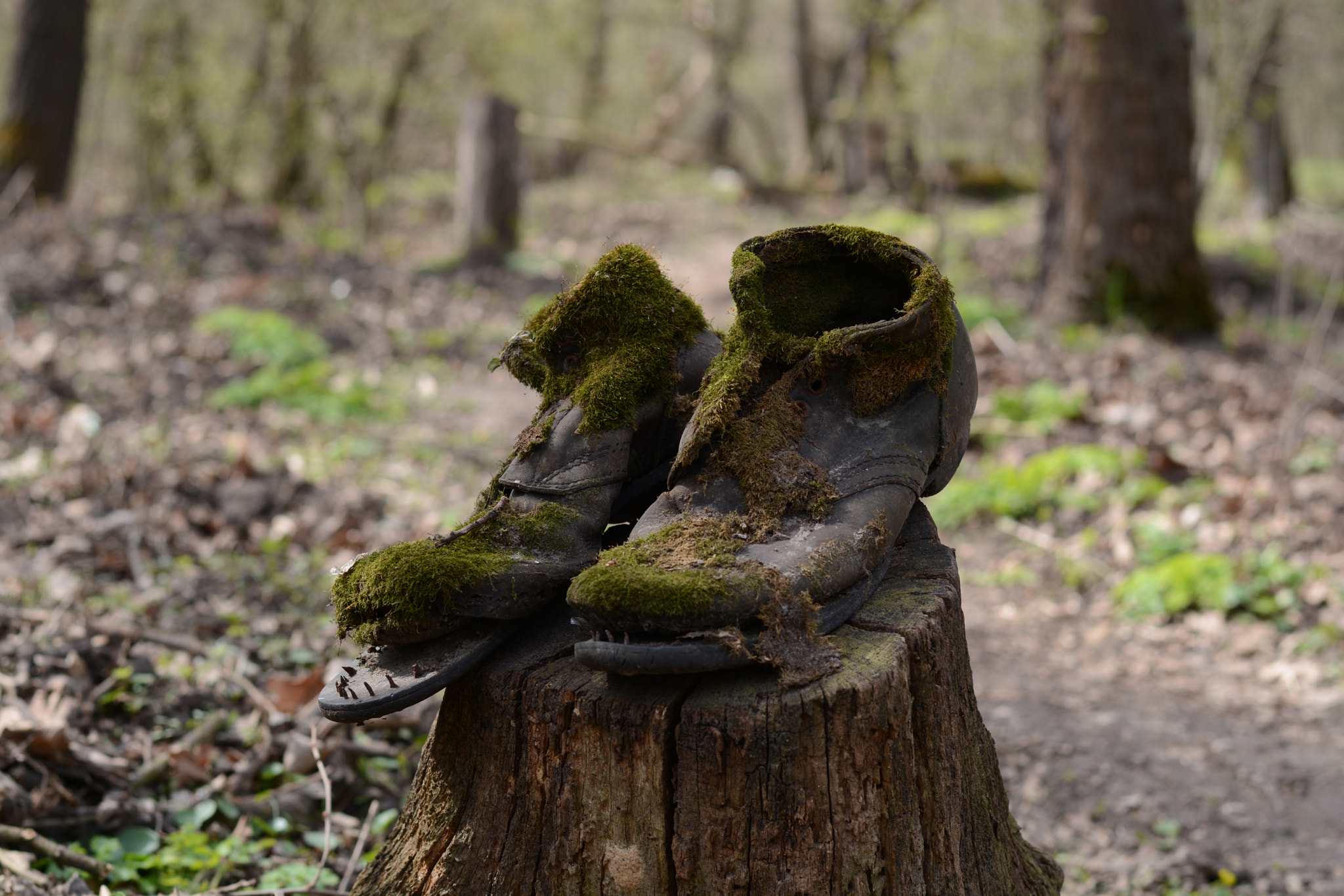 Nikon D7100 + Nikon AF-S Nikkor 50mm F1.8G sample photo. Башмаки photography