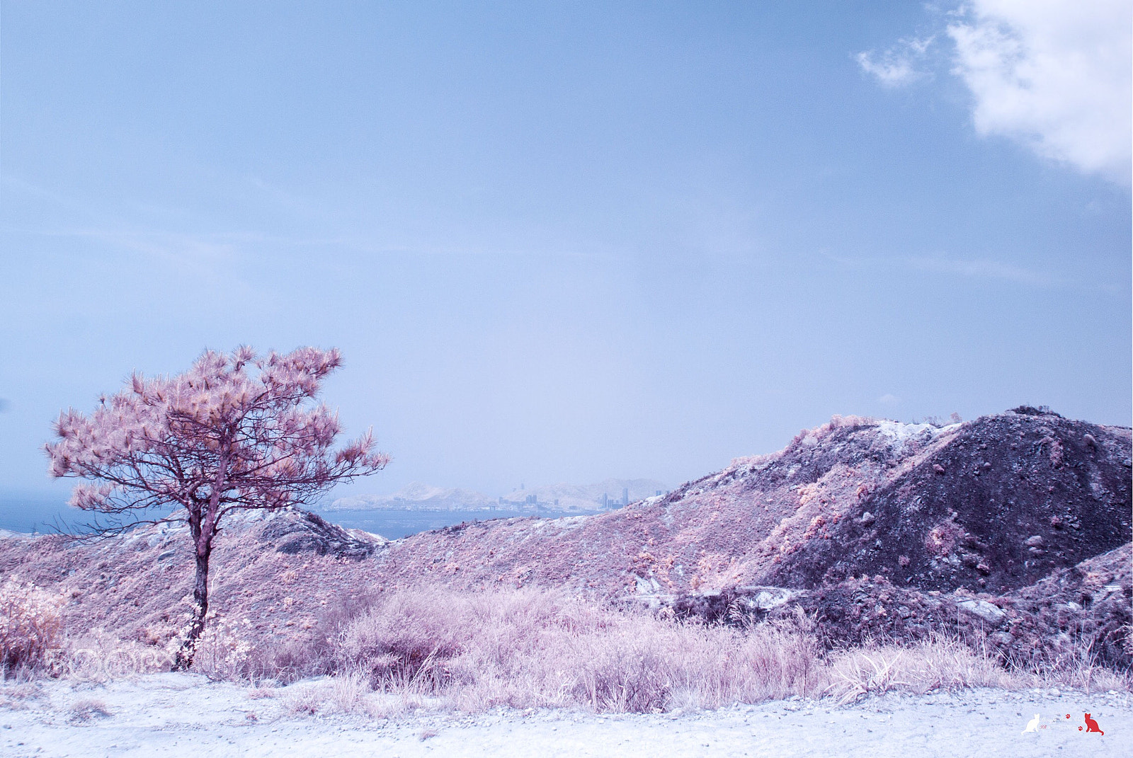 Nikon 1 V1 sample photo. Good weather photography
