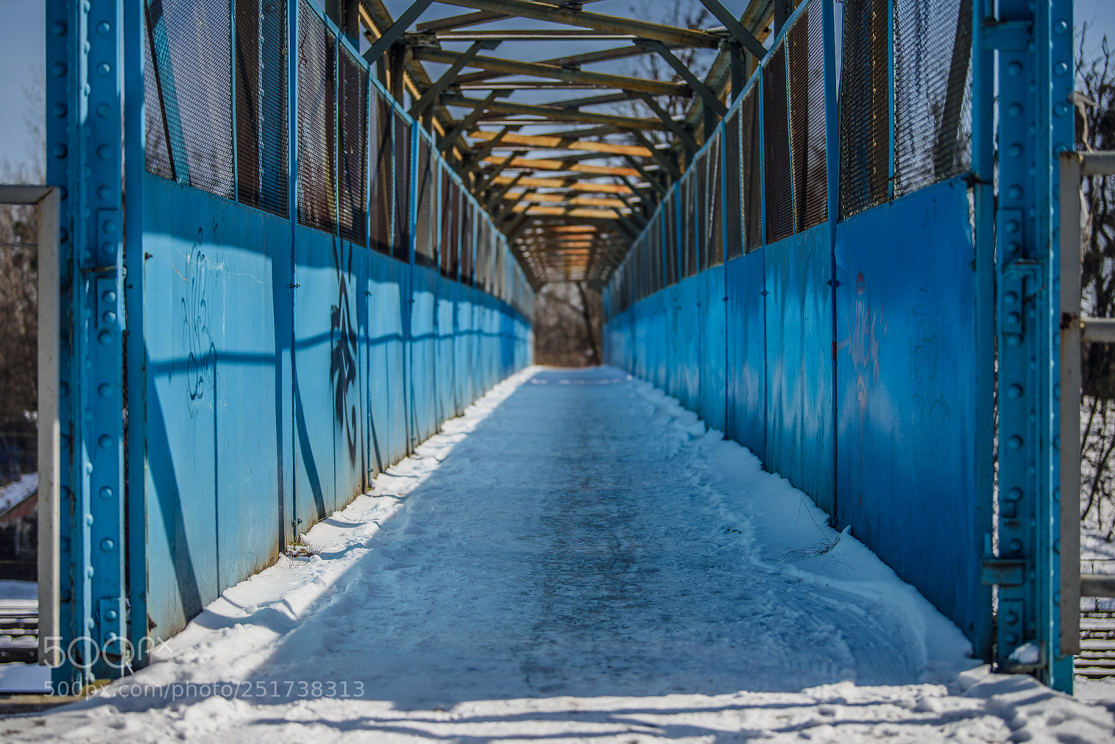 Nikon D810 sample photo. Training iii photography