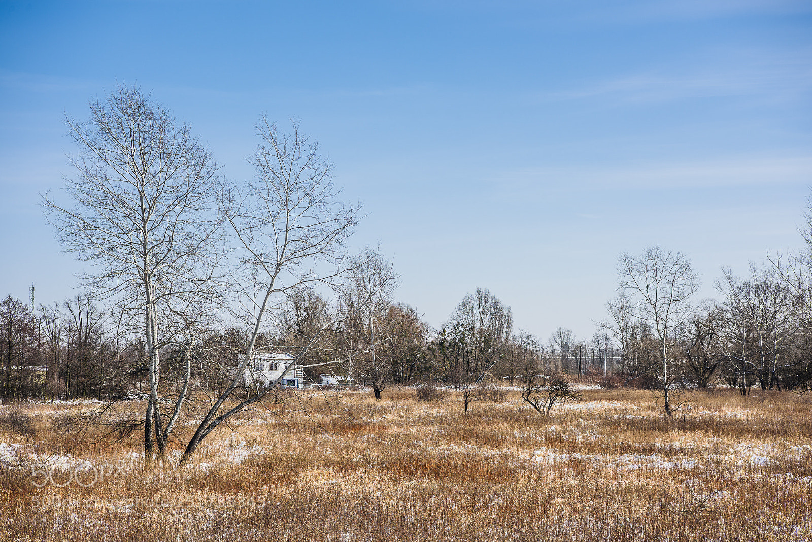 Nikon D810 sample photo. Training iii photography
