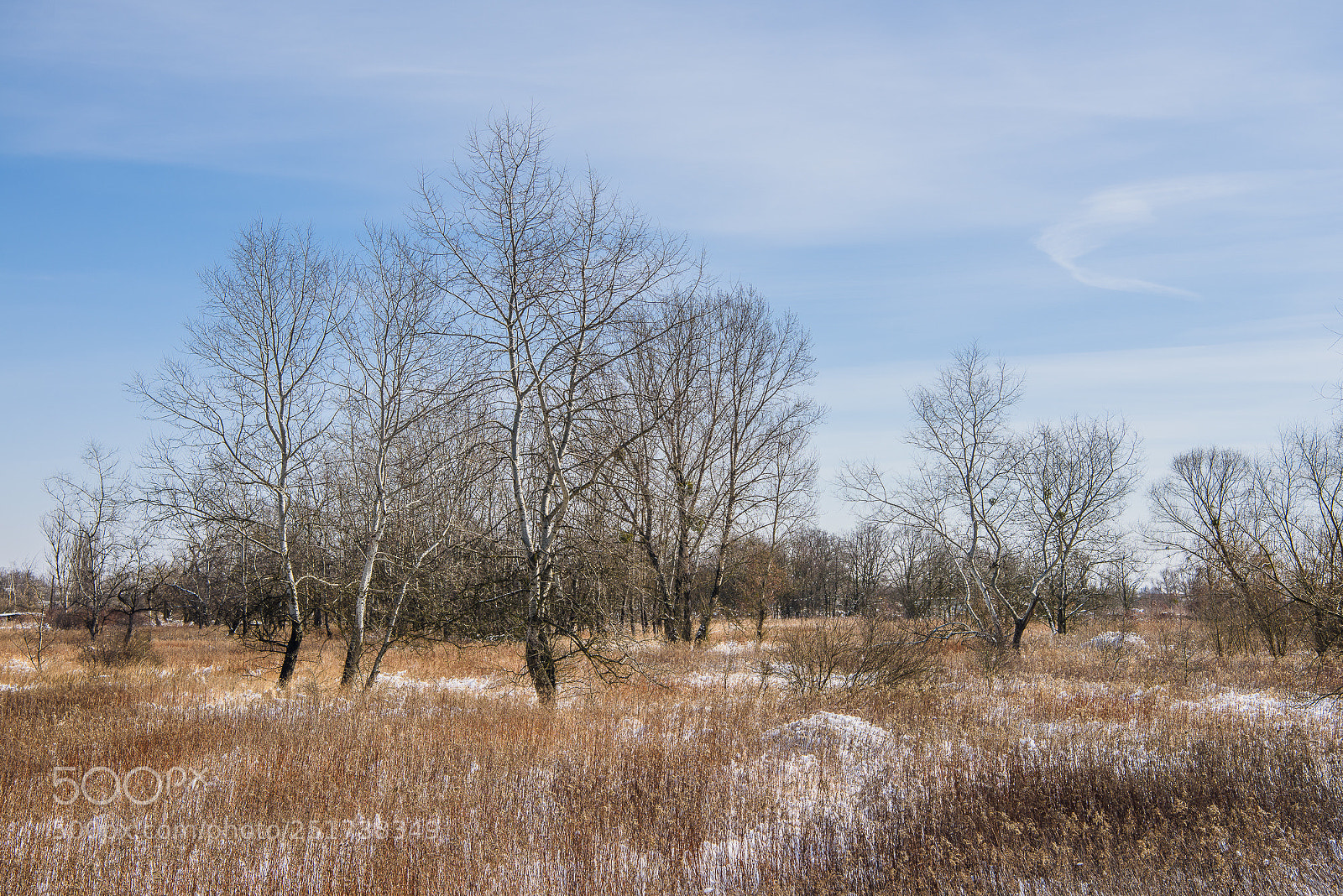 Nikon D810 sample photo. Training iii photography