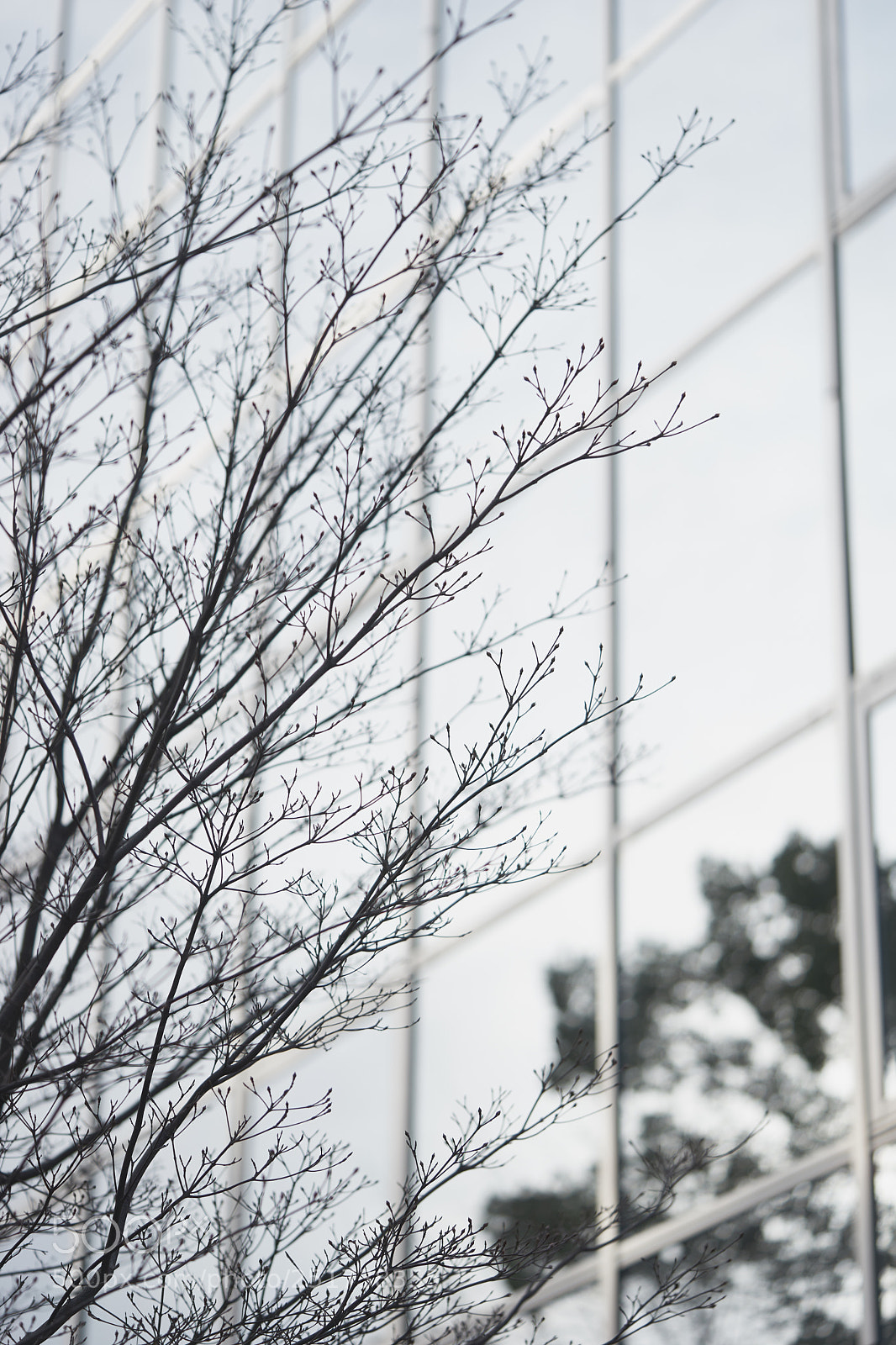 Sony a7 sample photo. Street 283 photography