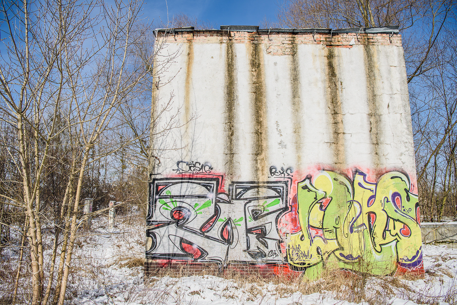 Nikon D810 sample photo. Training iii photography