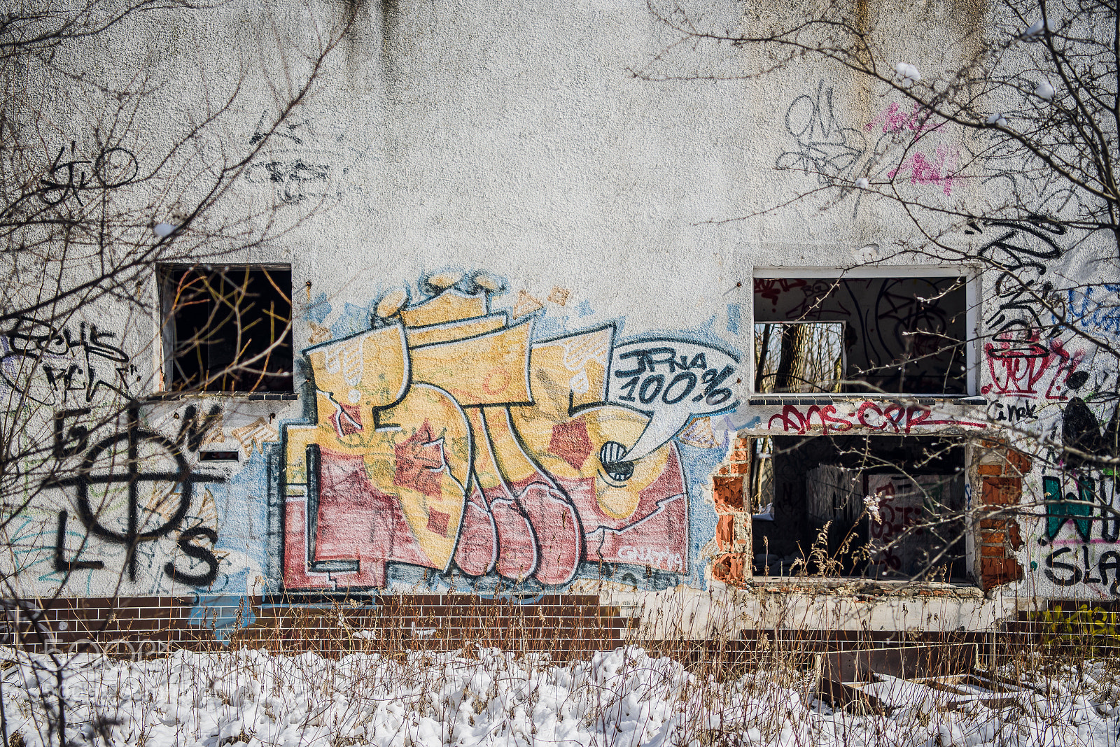Nikon D810 sample photo. Training iii photography