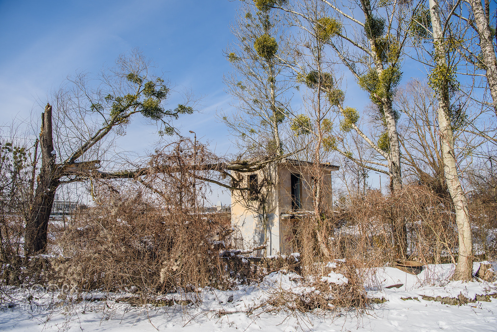 Nikon D810 sample photo. Training iii photography