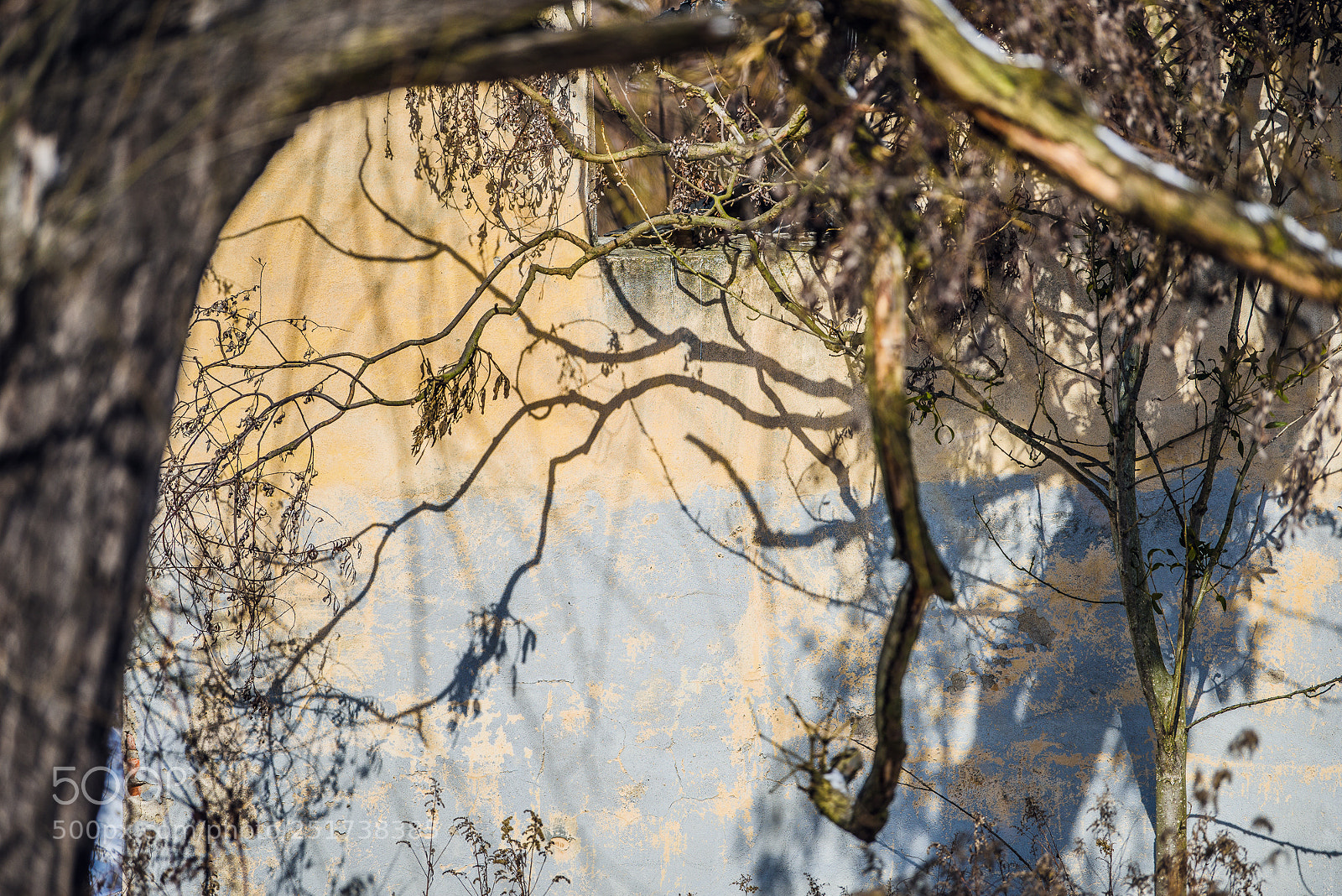 Nikon D810 sample photo. Training iii photography