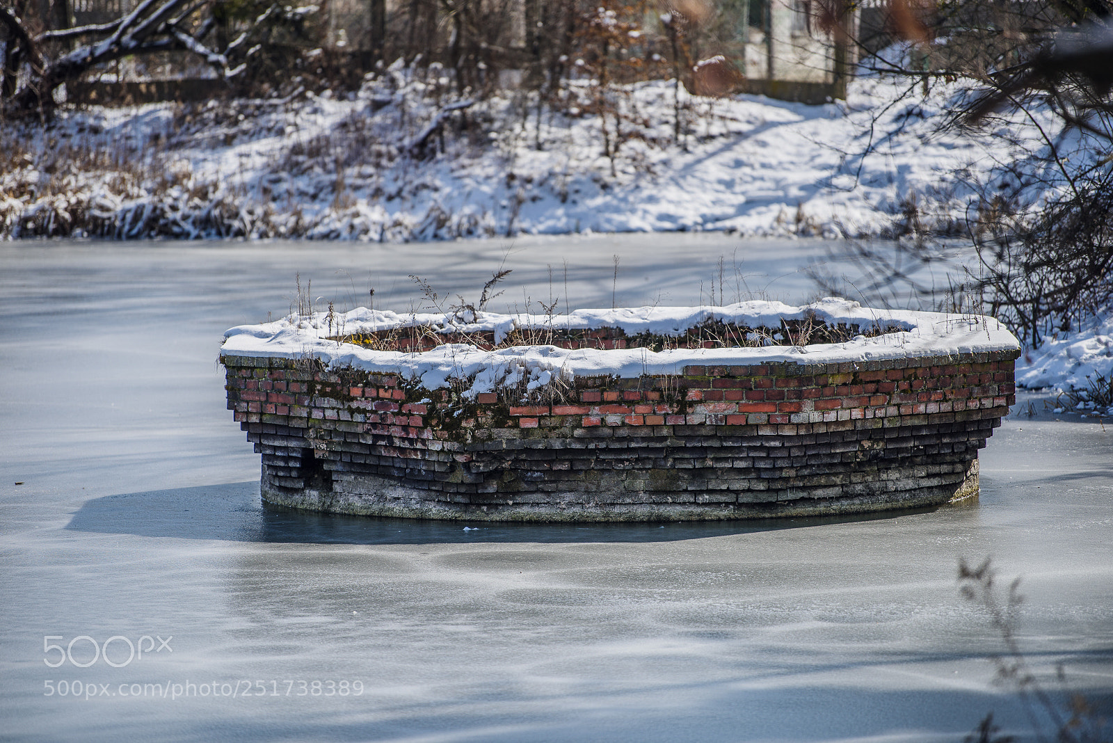 Nikon D810 sample photo. Training iii photography