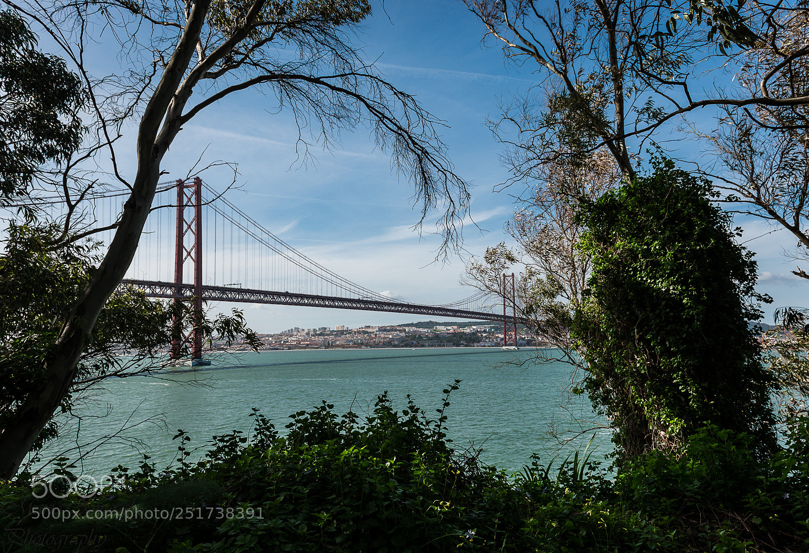 Nikon D610 sample photo. Moldura natural... photography