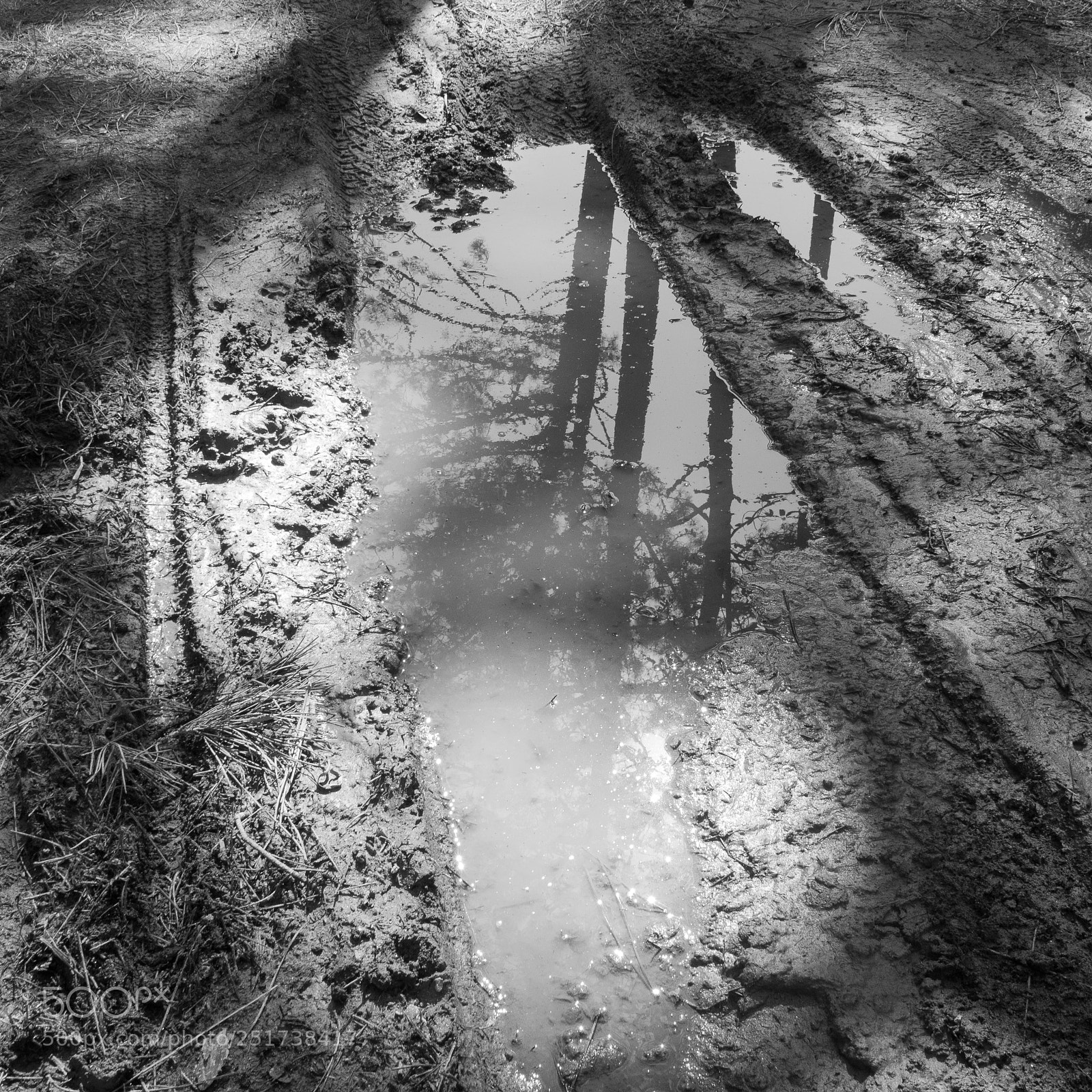 Canon EOS 750D (EOS Rebel T6i / EOS Kiss X8i) sample photo. Muddy puddle photography