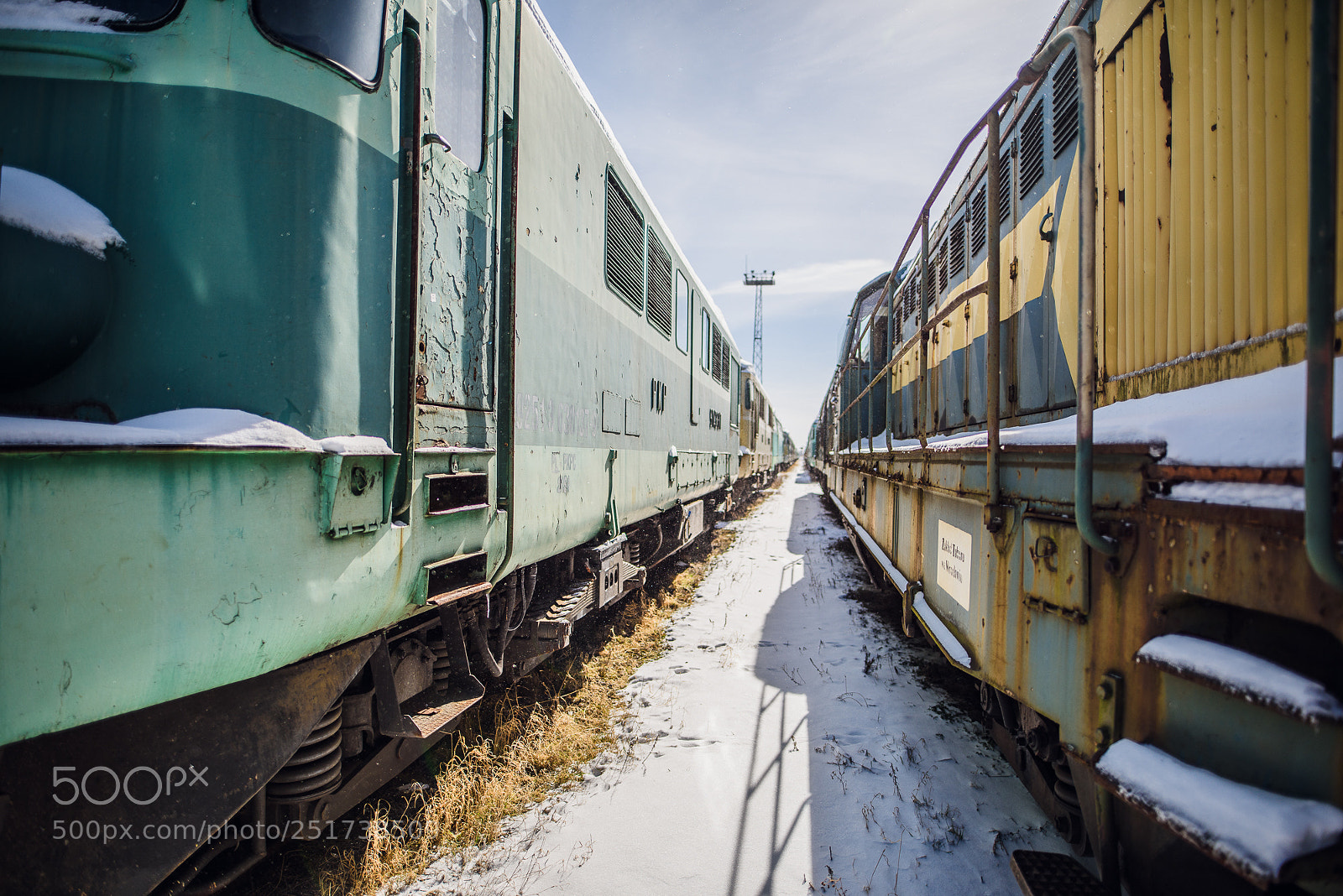 Nikon D810 sample photo. Training iii photography