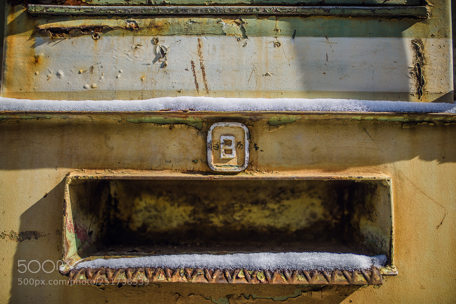 Nikon D810 sample photo. Training iii photography