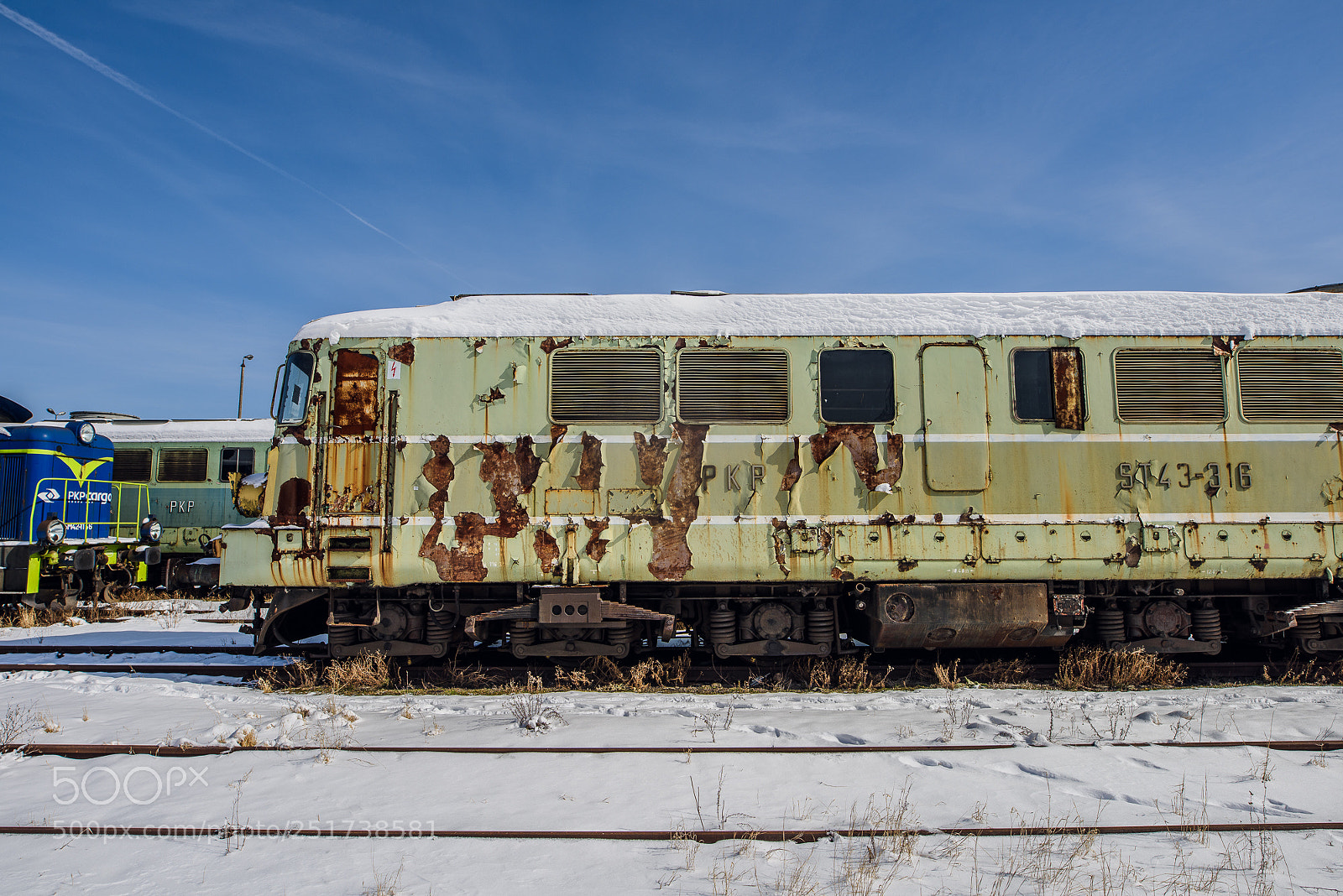 Nikon D810 sample photo. Training iii photography