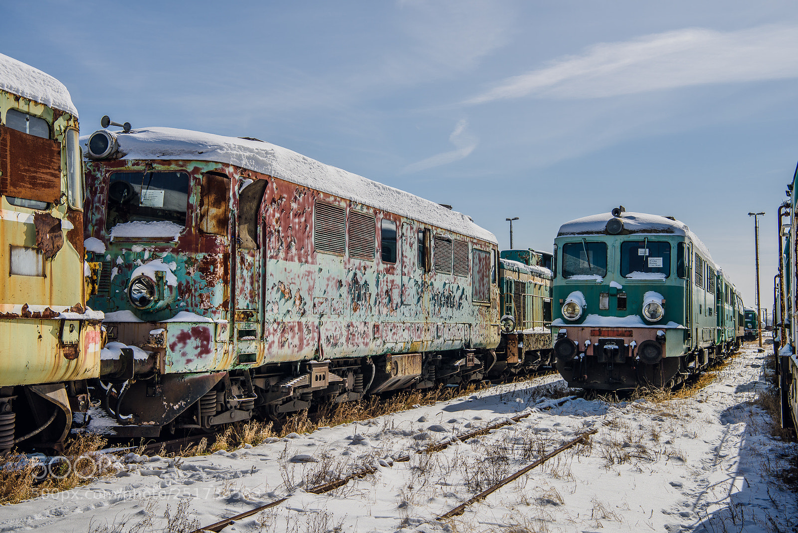 Nikon D810 sample photo. Training iii photography