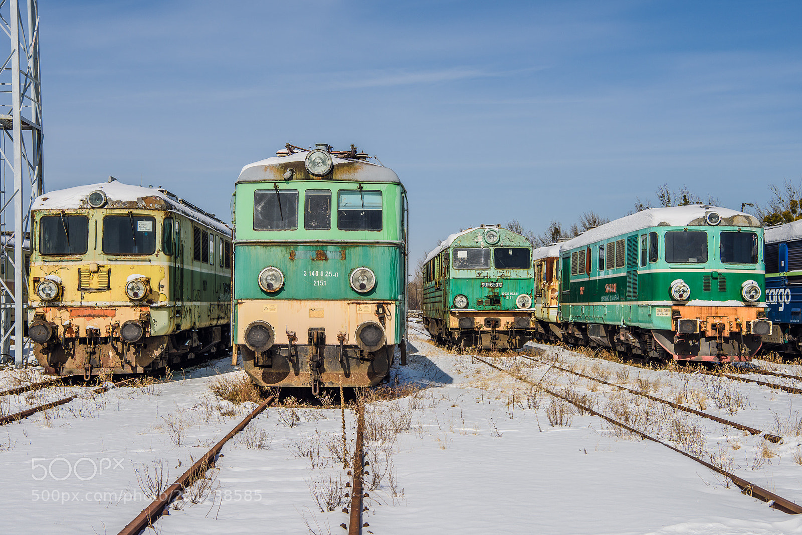 Nikon D810 sample photo. Training iii photography