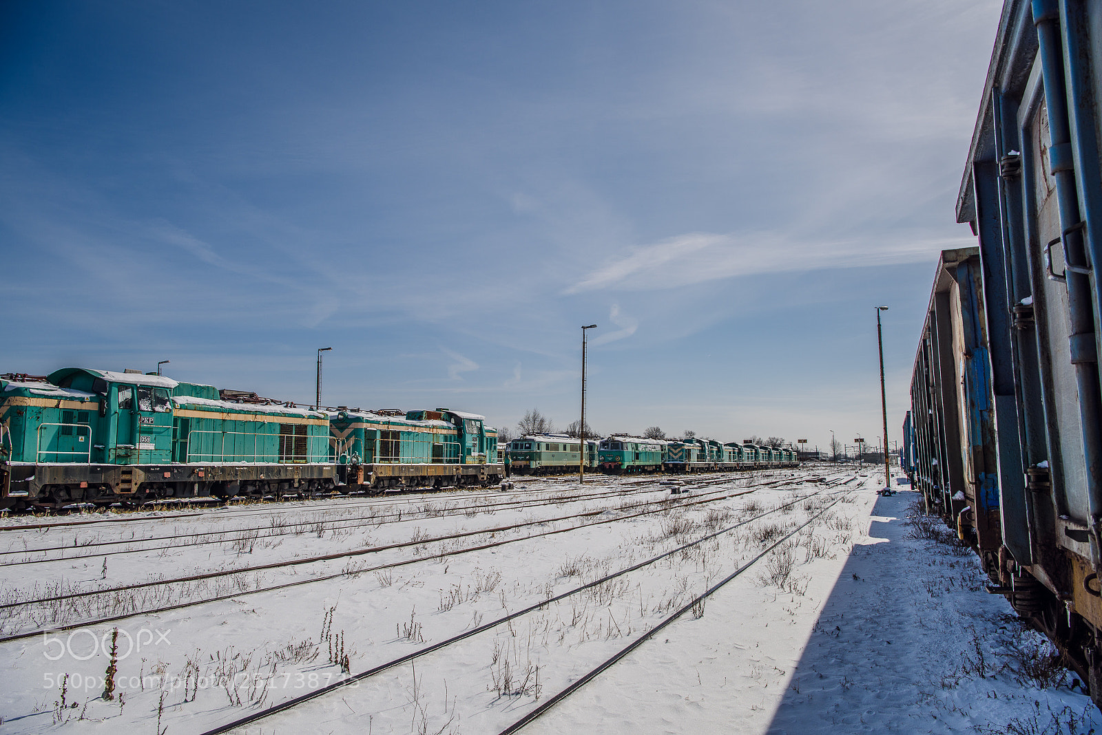 Nikon D810 sample photo. Training iii photography