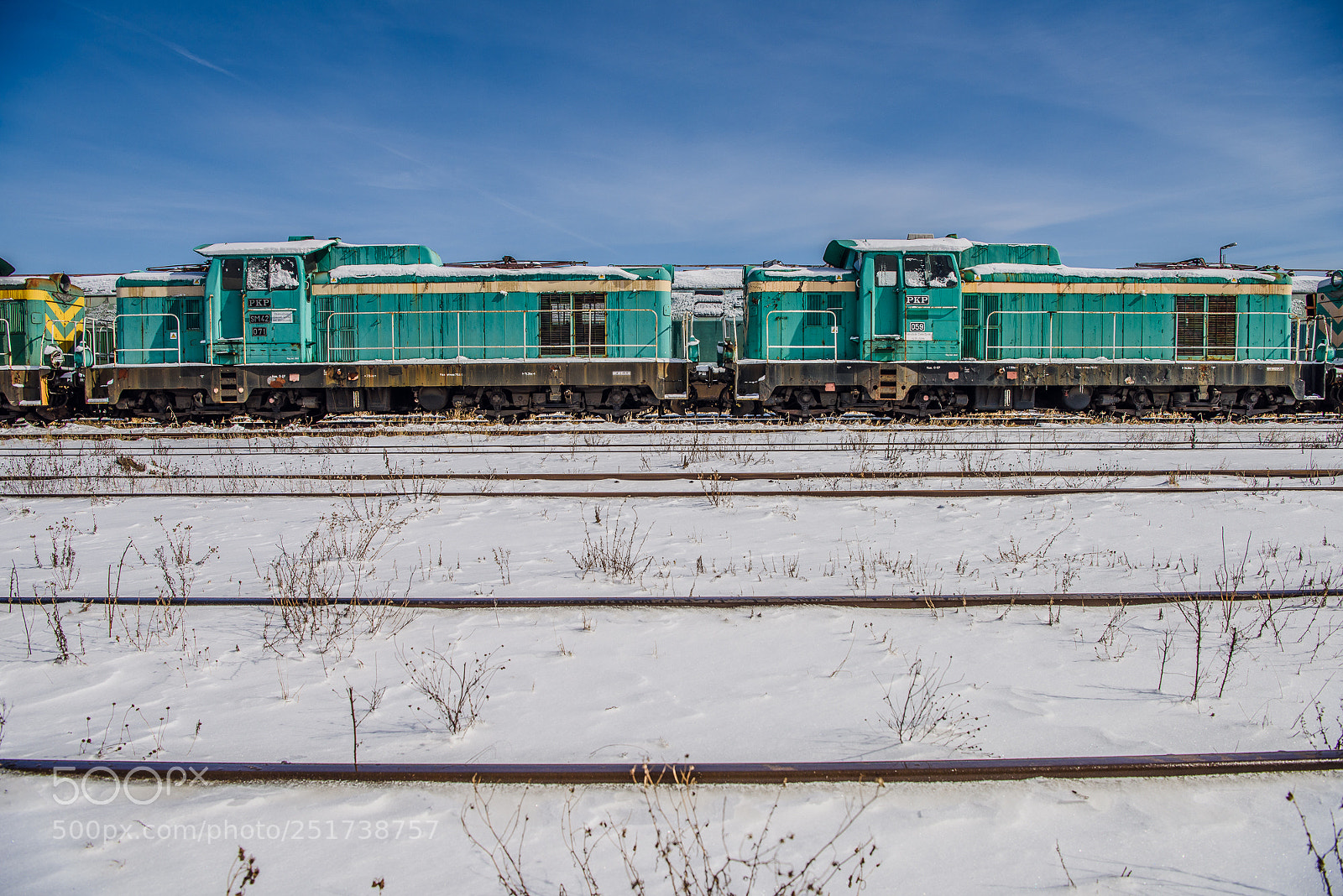 Nikon D810 sample photo. Training iii photography