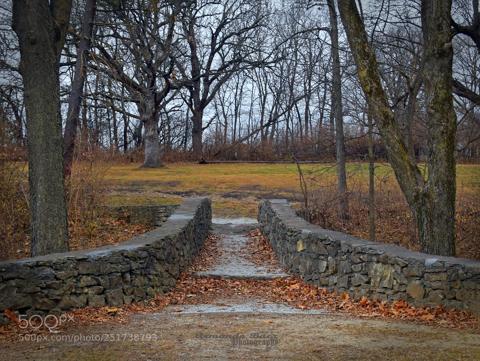 Nikon D5300 sample photo. Somerset madison county 5 photography