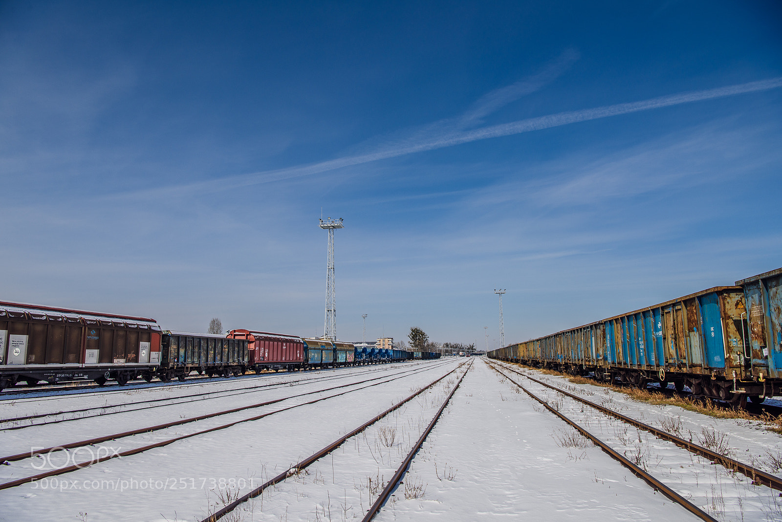 Nikon D810 sample photo. Training iii photography