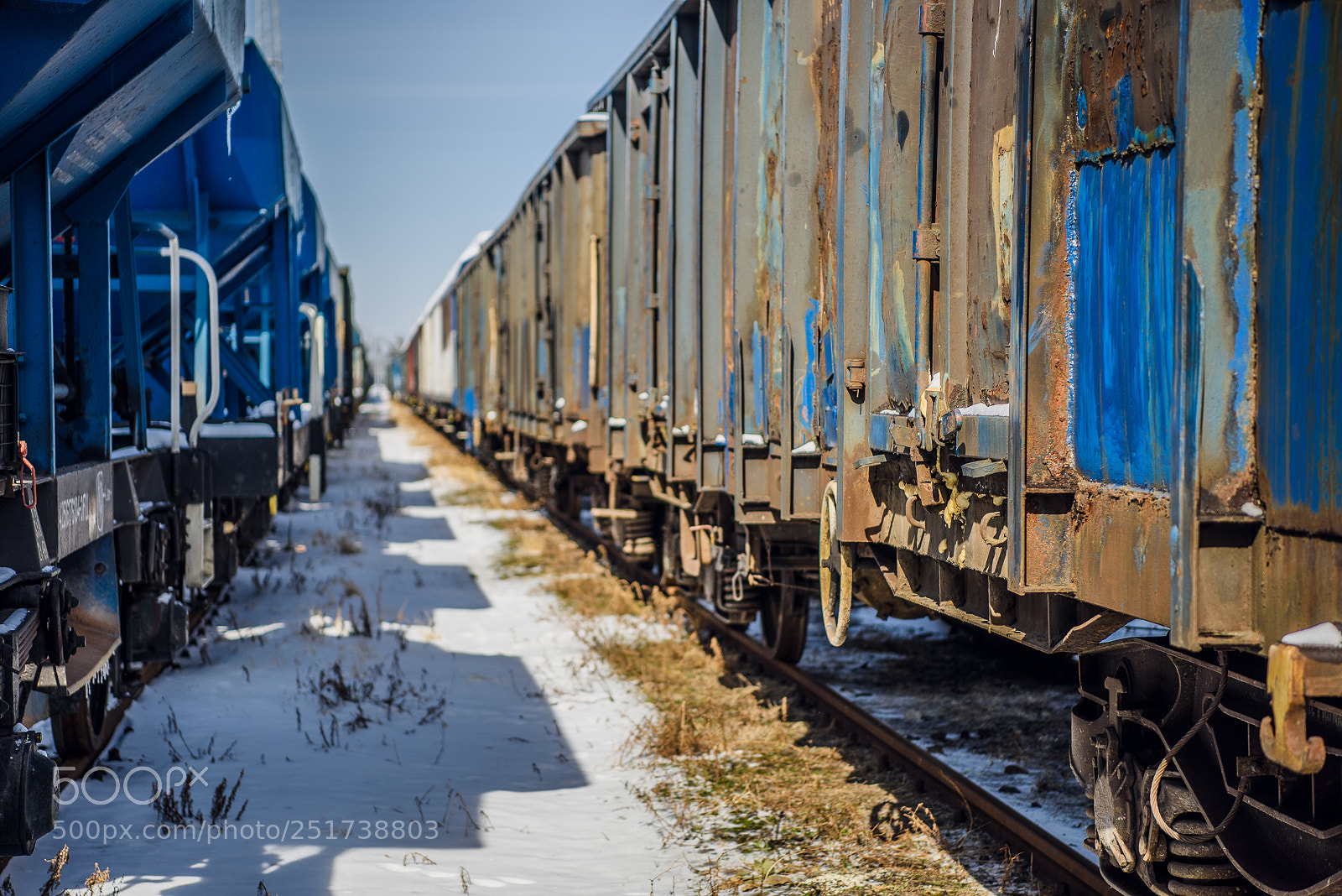 Nikon D810 sample photo. Training iii photography