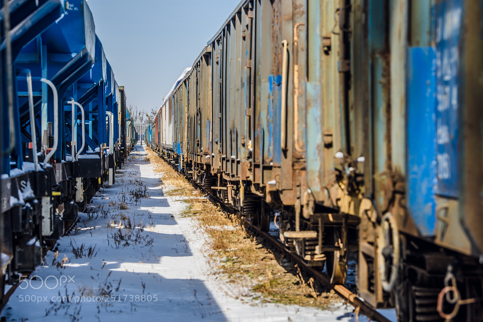 Nikon D810 sample photo. Training iii photography
