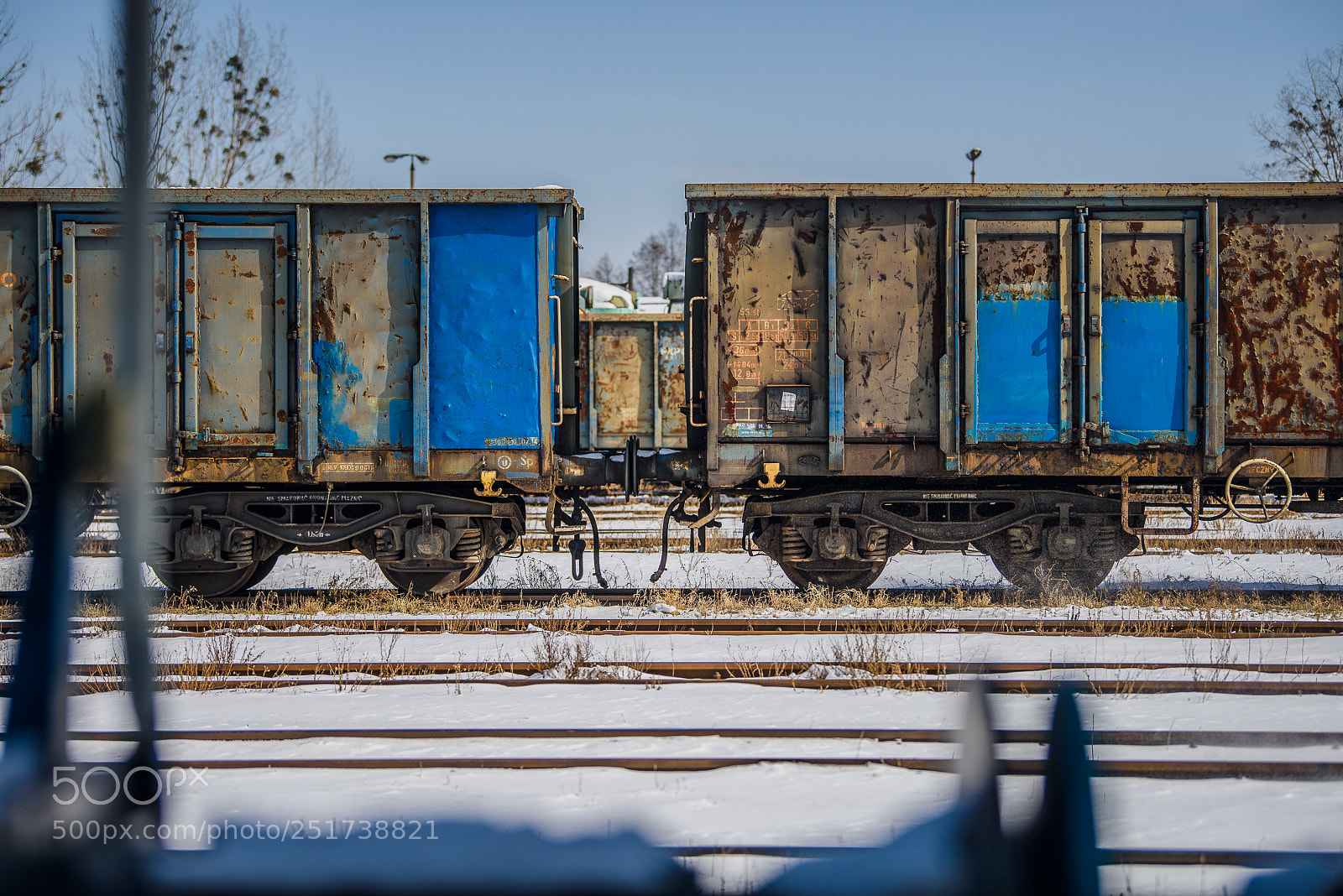 Nikon D810 sample photo. Training iii photography