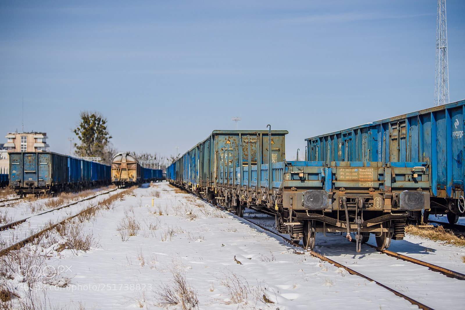 Nikon D810 sample photo. Training iii photography