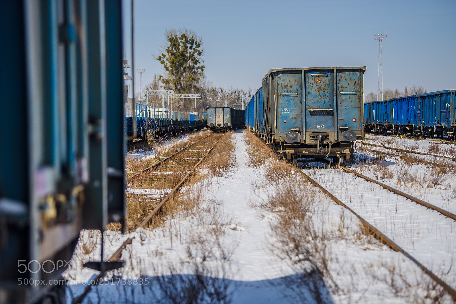 Nikon D810 sample photo. Training iii photography