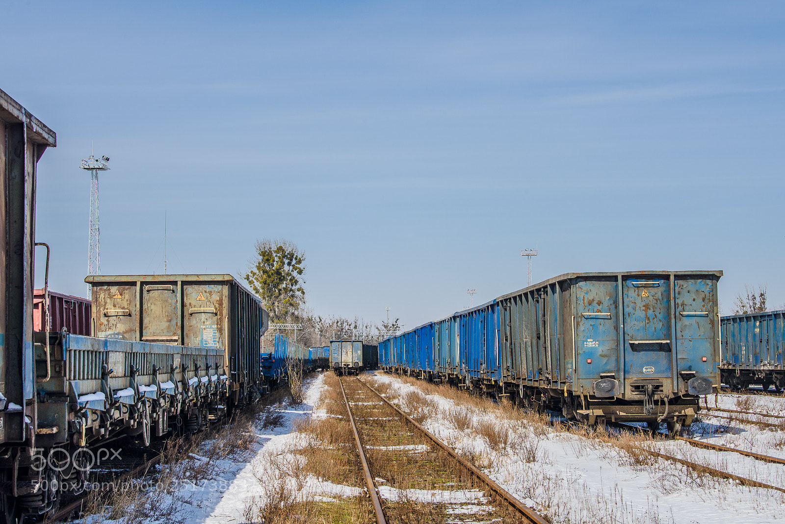 Nikon D810 sample photo. Training iii photography