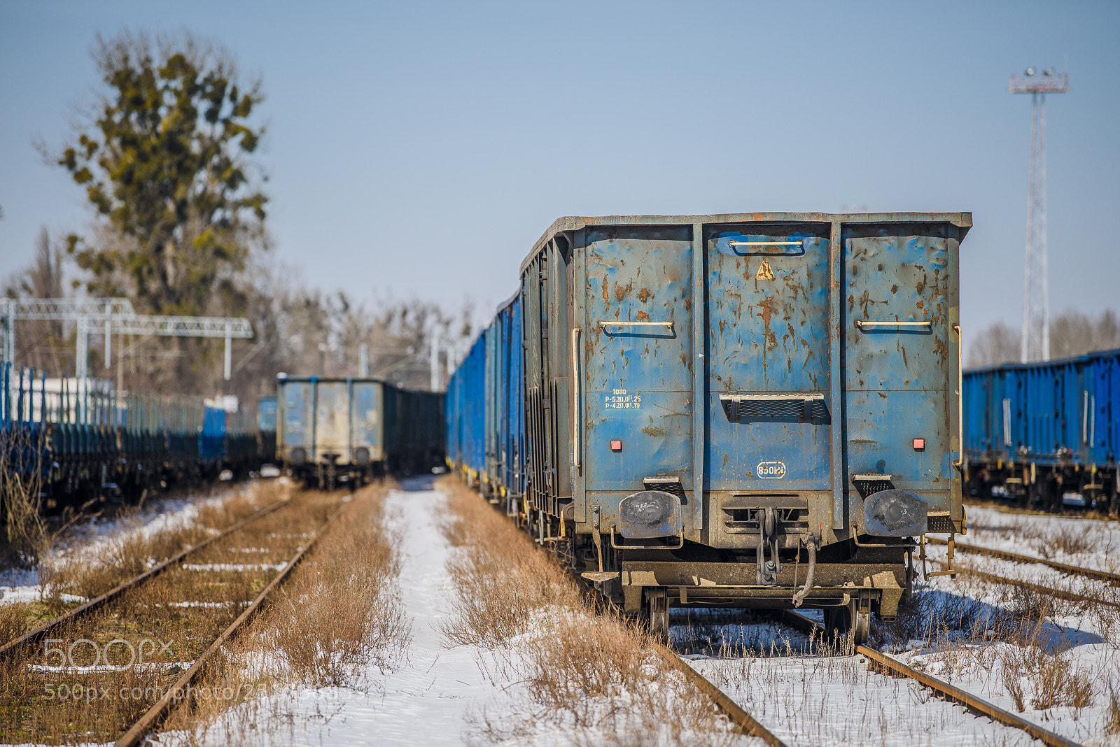 Nikon D810 sample photo. Training iii photography