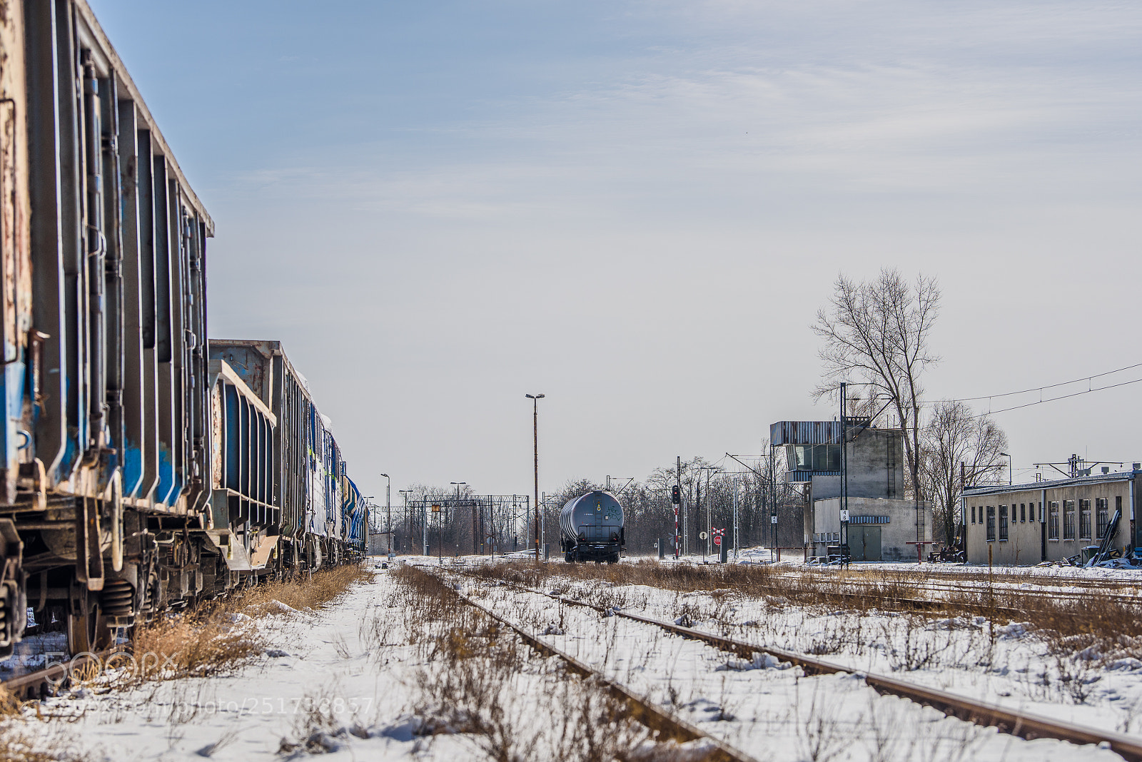 Nikon D810 sample photo. Training iii photography