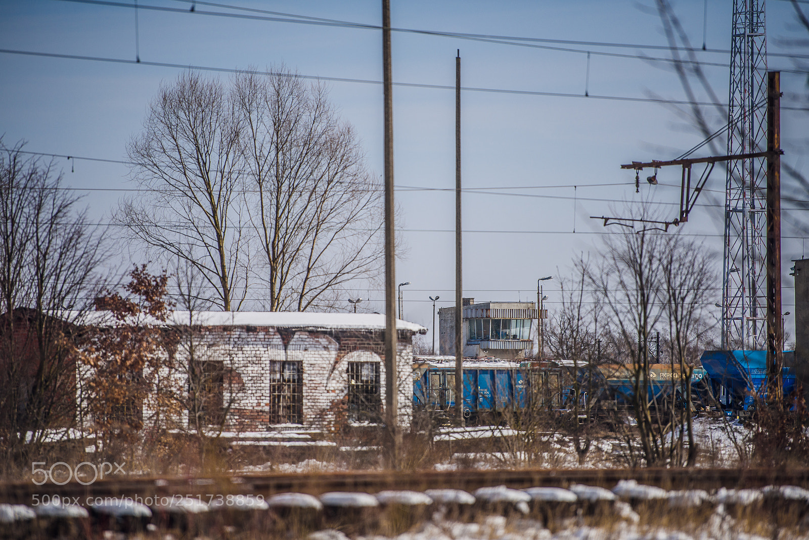 Nikon D810 sample photo. Training iii photography