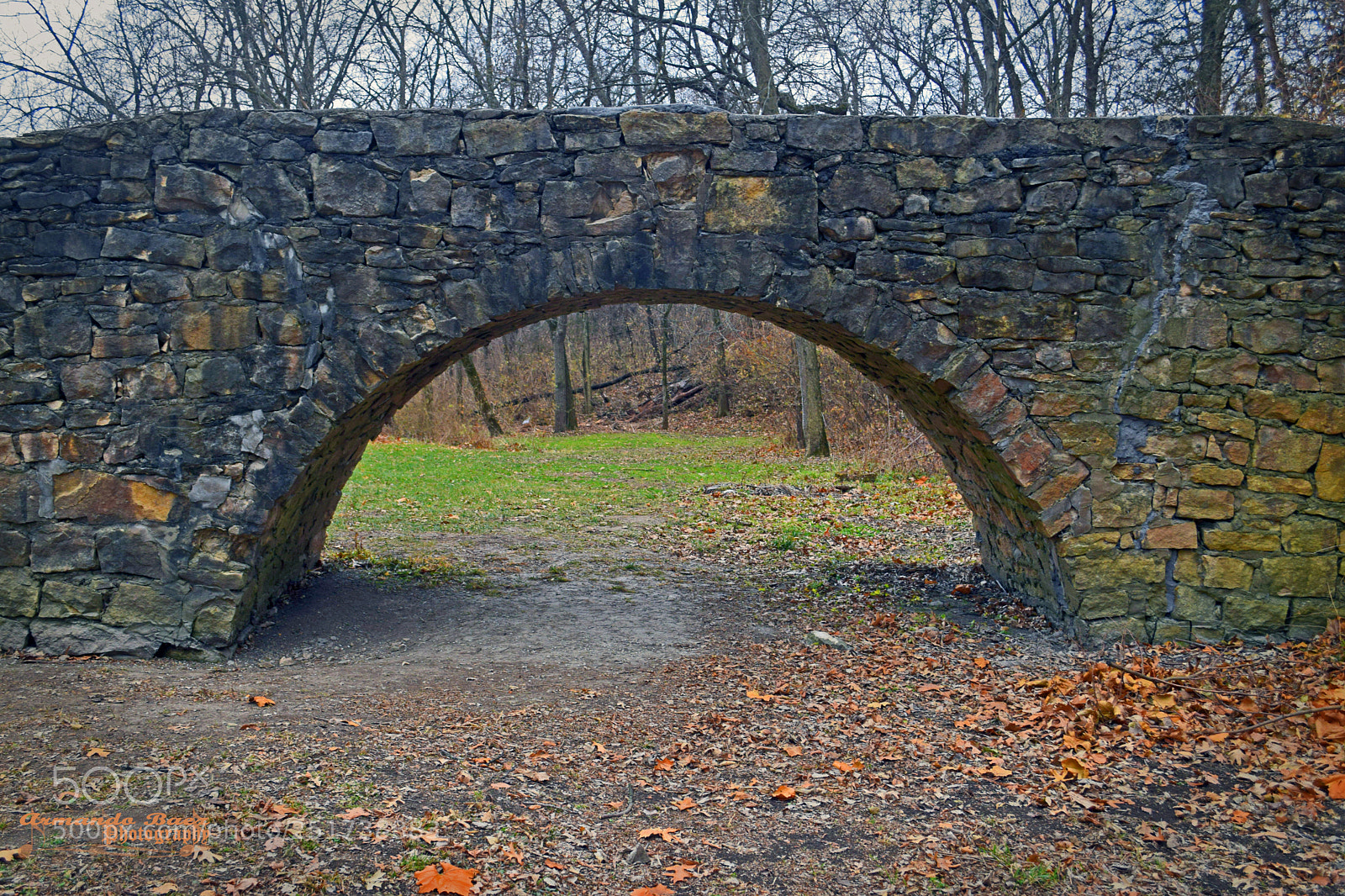 Nikon D5300 sample photo. Somerset madison county 3 photography