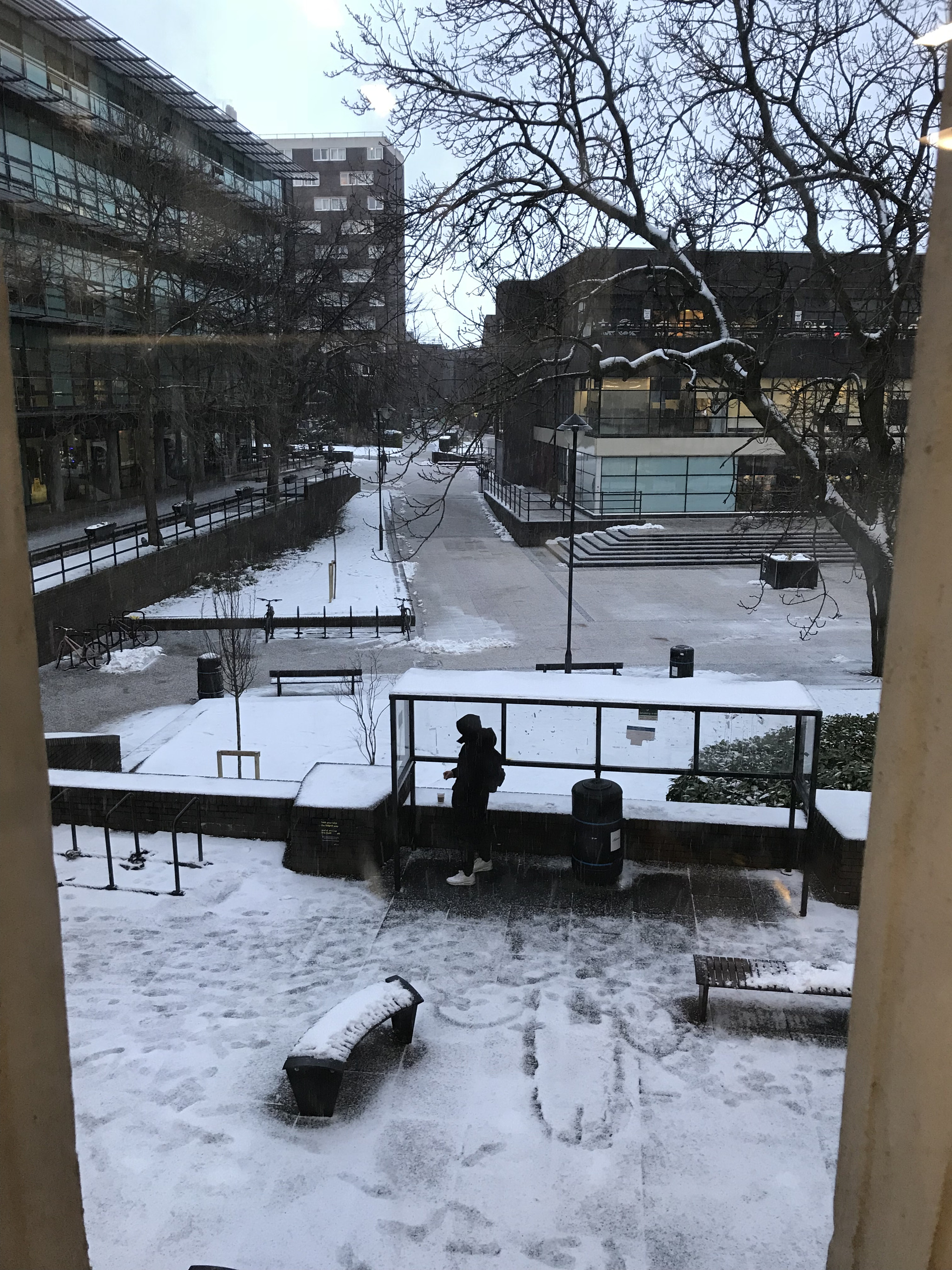 Apple iPad Pro (10.5-inch) sample photo. Snow days# uni library photography