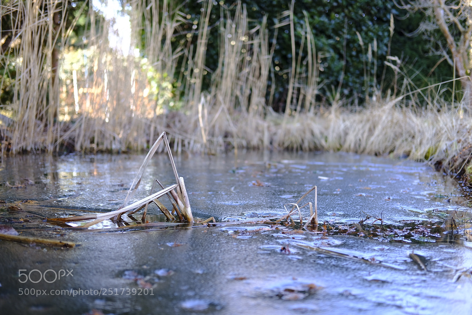 Fujifilm X-Pro2 sample photo. Untitled photography