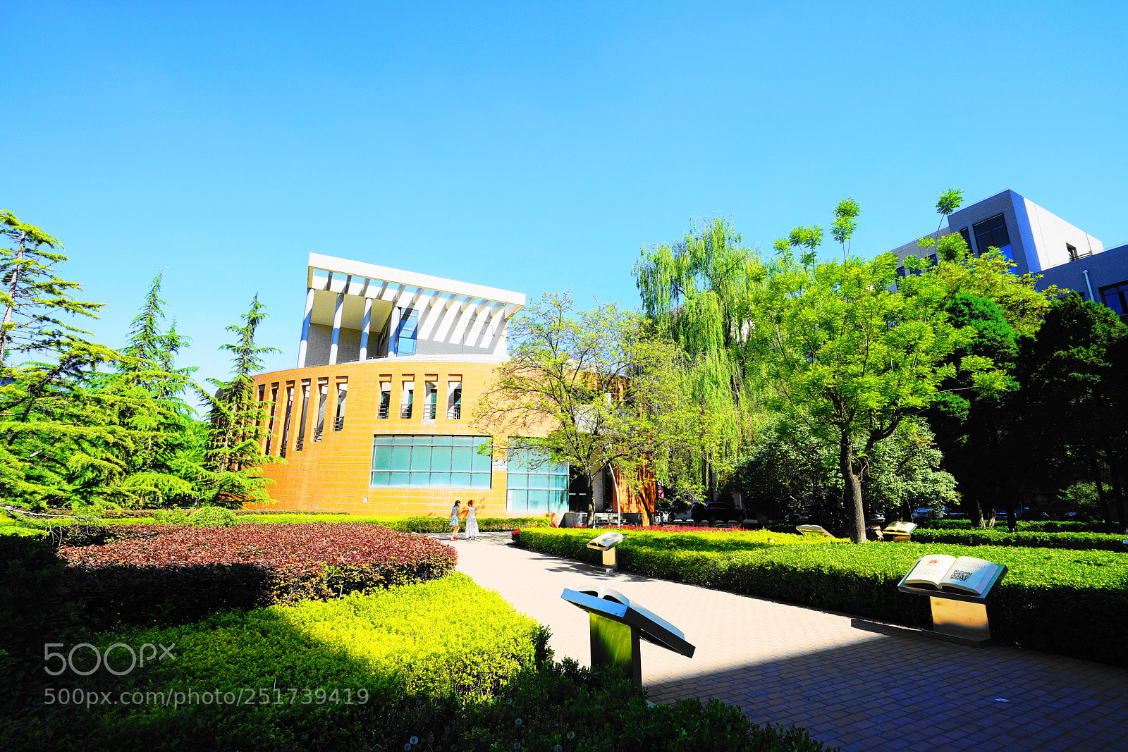 Sony a7R II sample photo. Someing i shoot photography