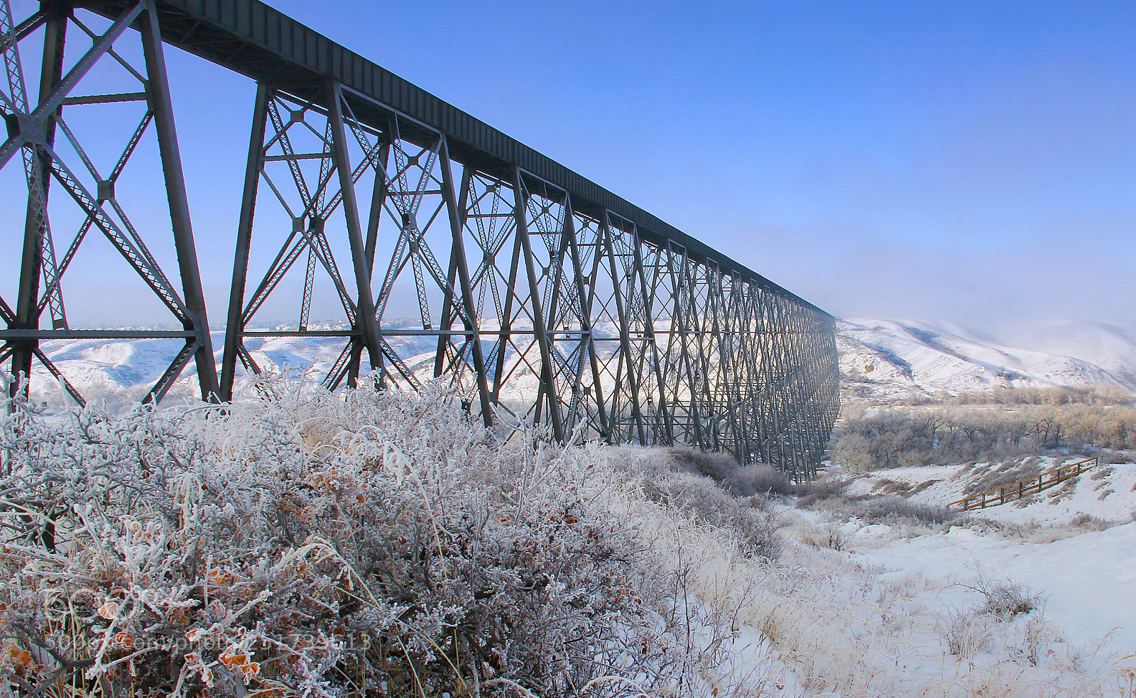 Canon EOS 60D sample photo. Long and high photography