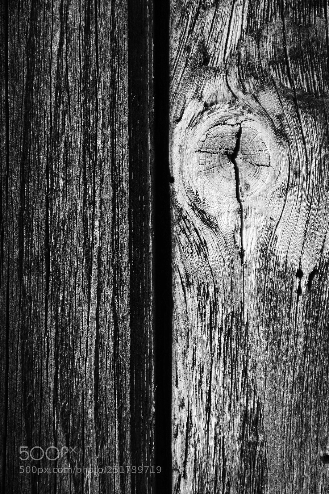 Nikon D7100 sample photo. Wood photography