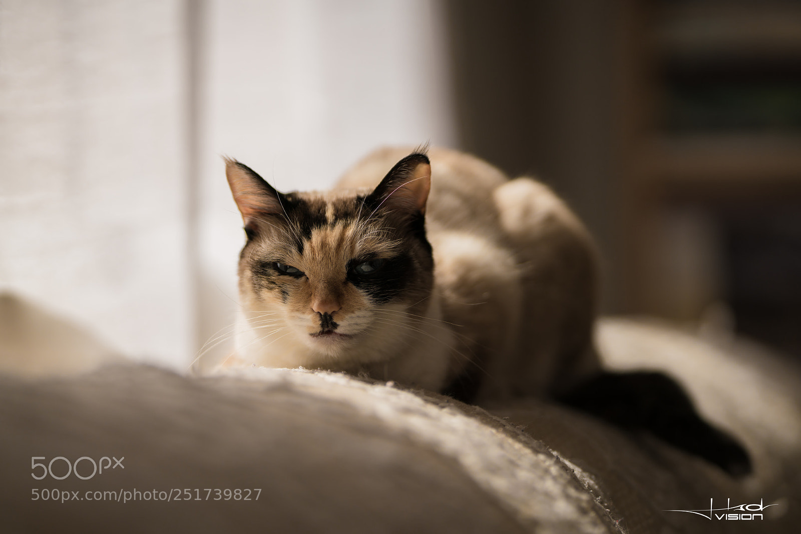 Sony a7R II sample photo. ... ??? ... photography