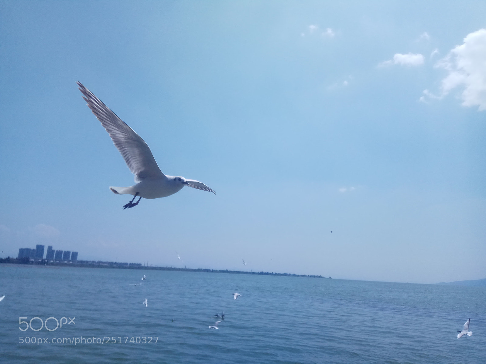 Xiaomi Redmi Note 4X sample photo. Untitled photography