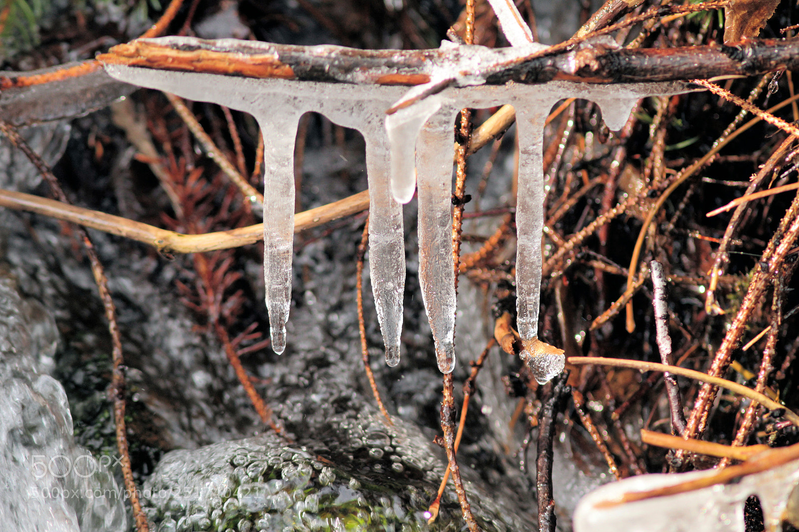 Canon EOS 7D sample photo. Icecold photography