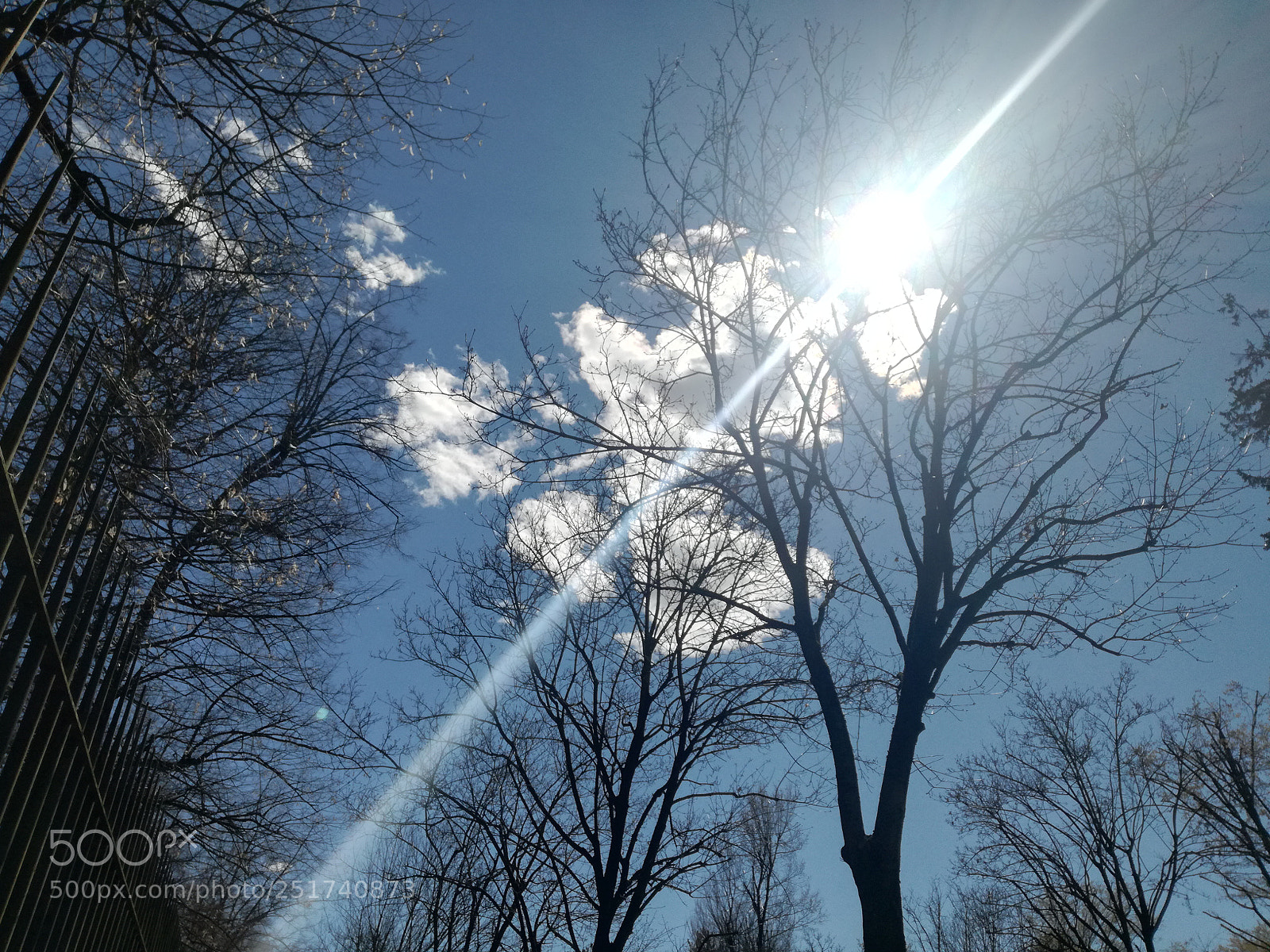 HUAWEI P9 LITE sample photo. Untitled photography