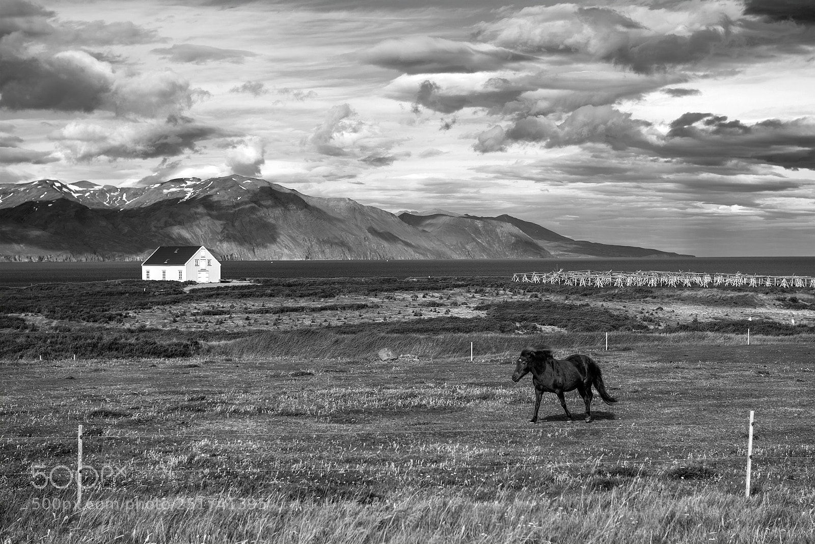 Nikon D800E sample photo. Iceland photography