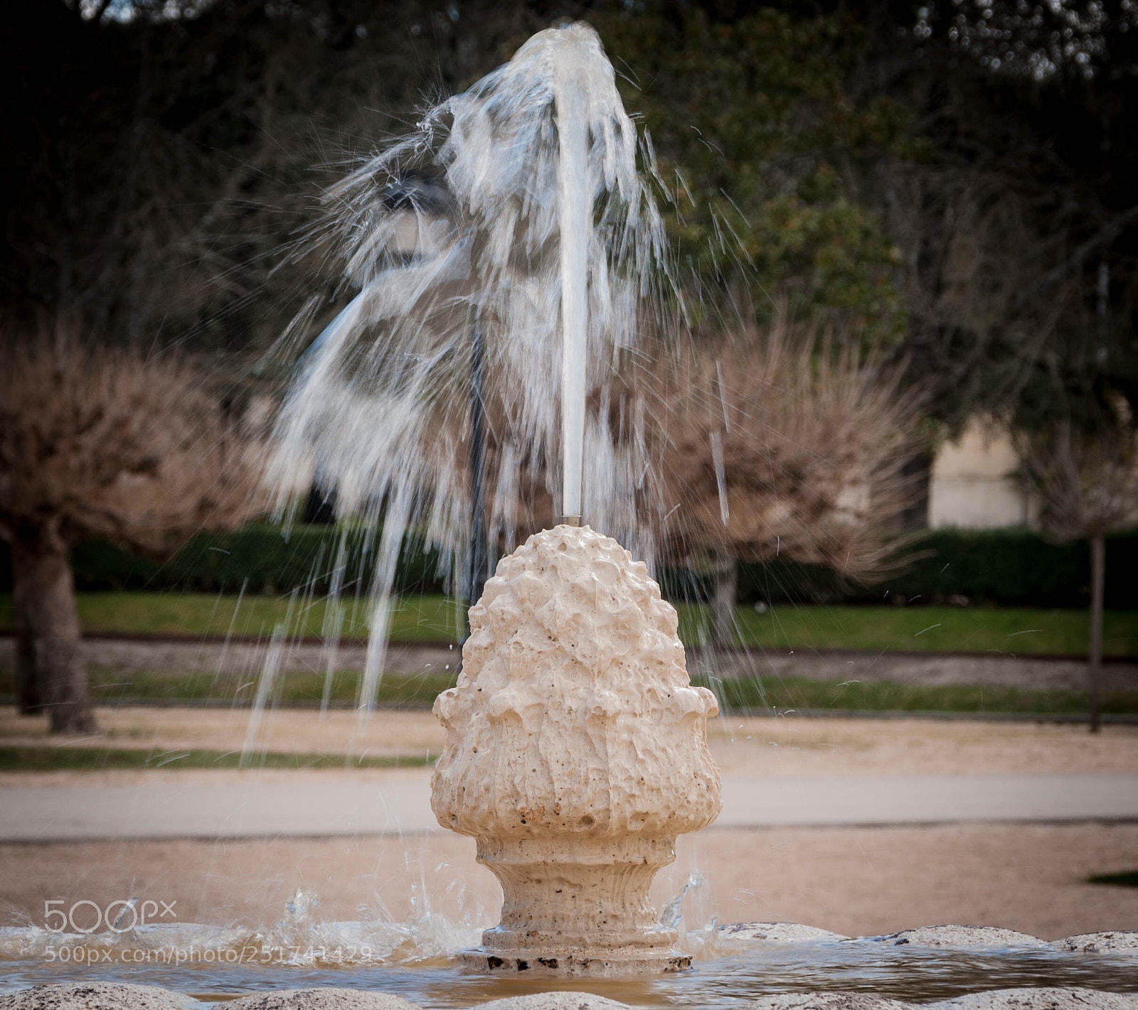 Nikon D3000 sample photo. Source photography