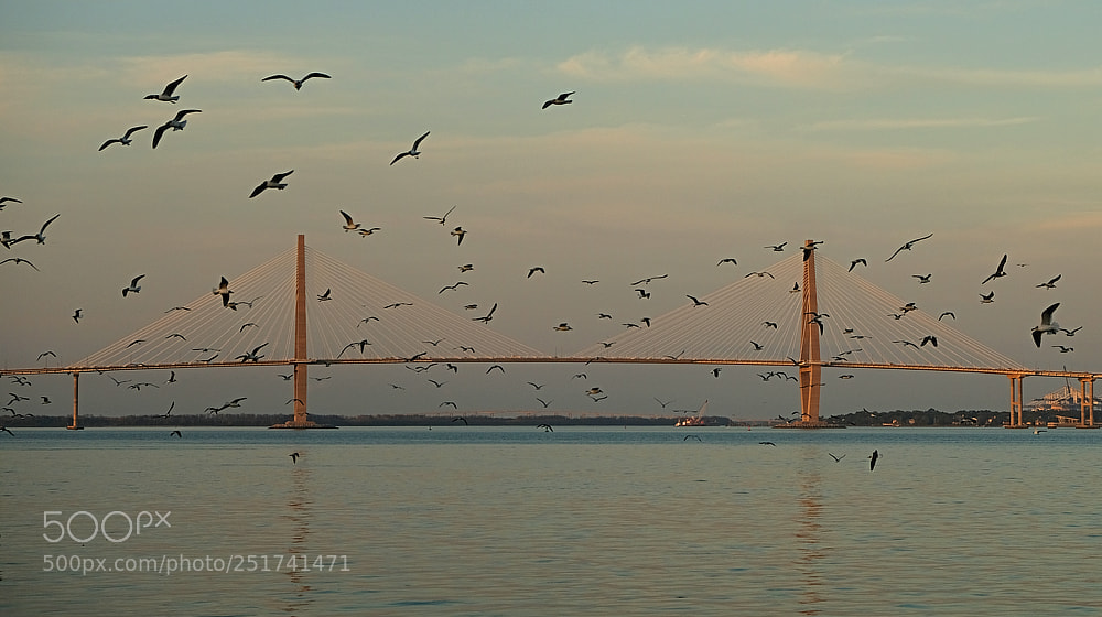 Fujifilm X-E3 sample photo. Charlestonbridge photography