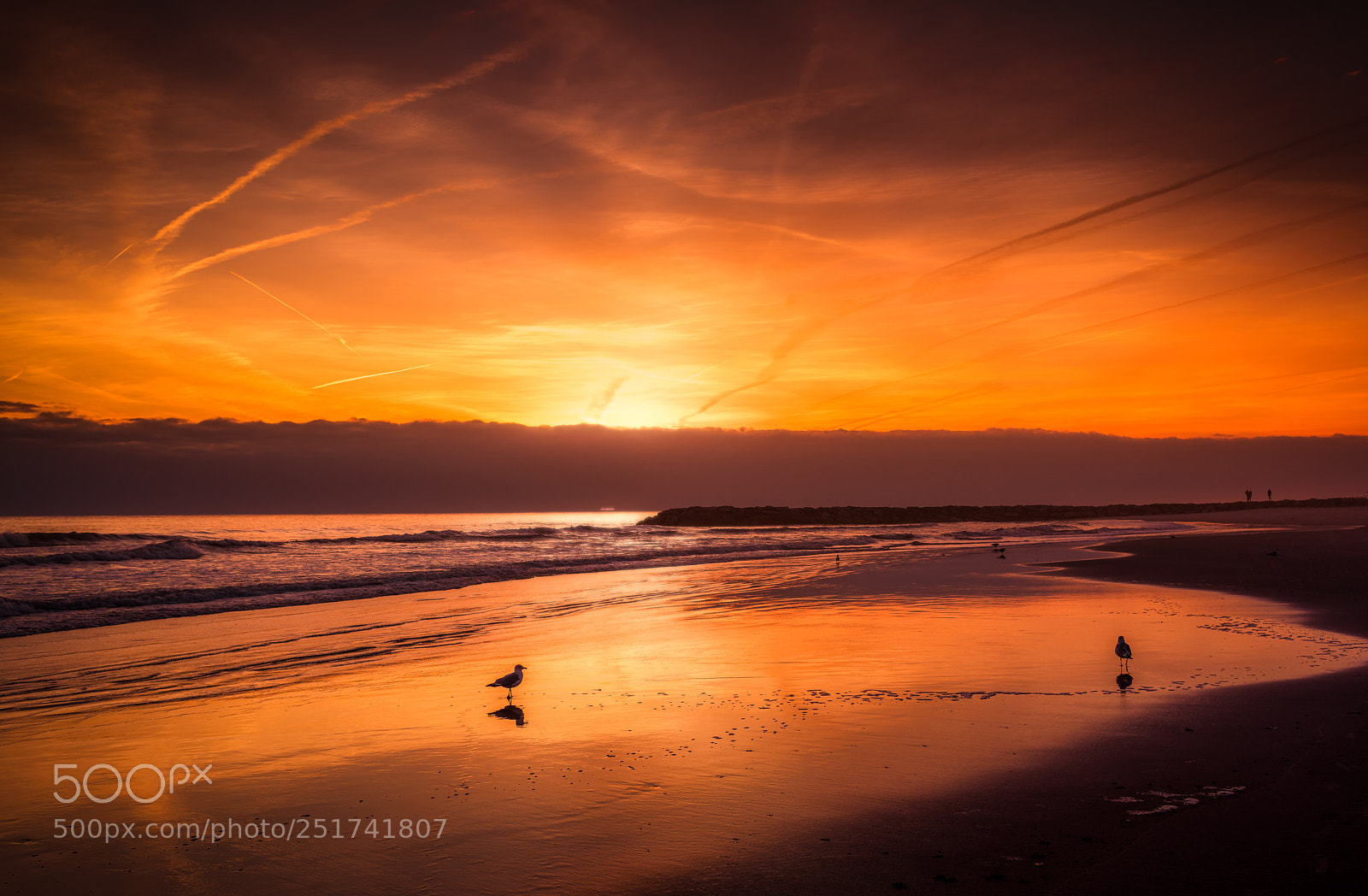 Nikon D810 sample photo. Evening bliss photography