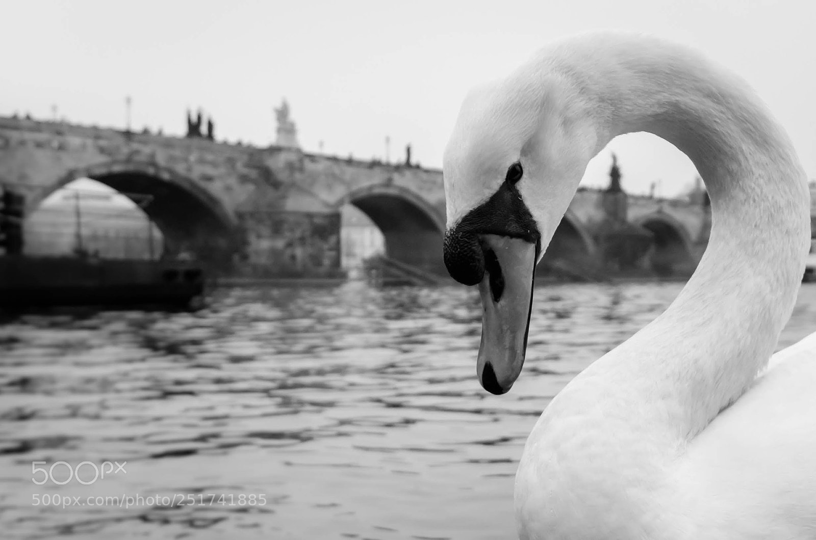 Nikon D7000 sample photo. Untitled photography