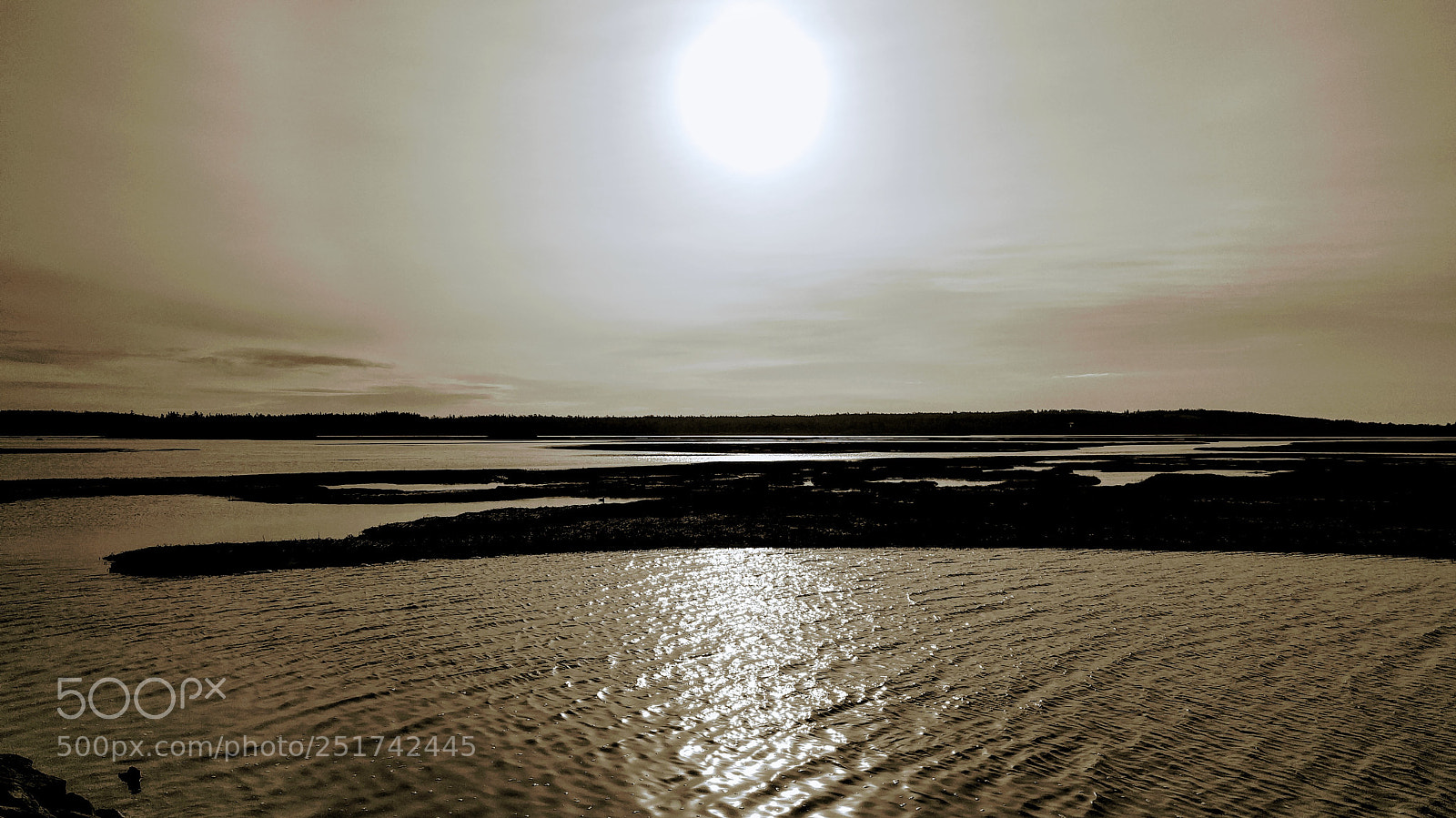 Google Nexus 6P sample photo. Salt marsh trail photography