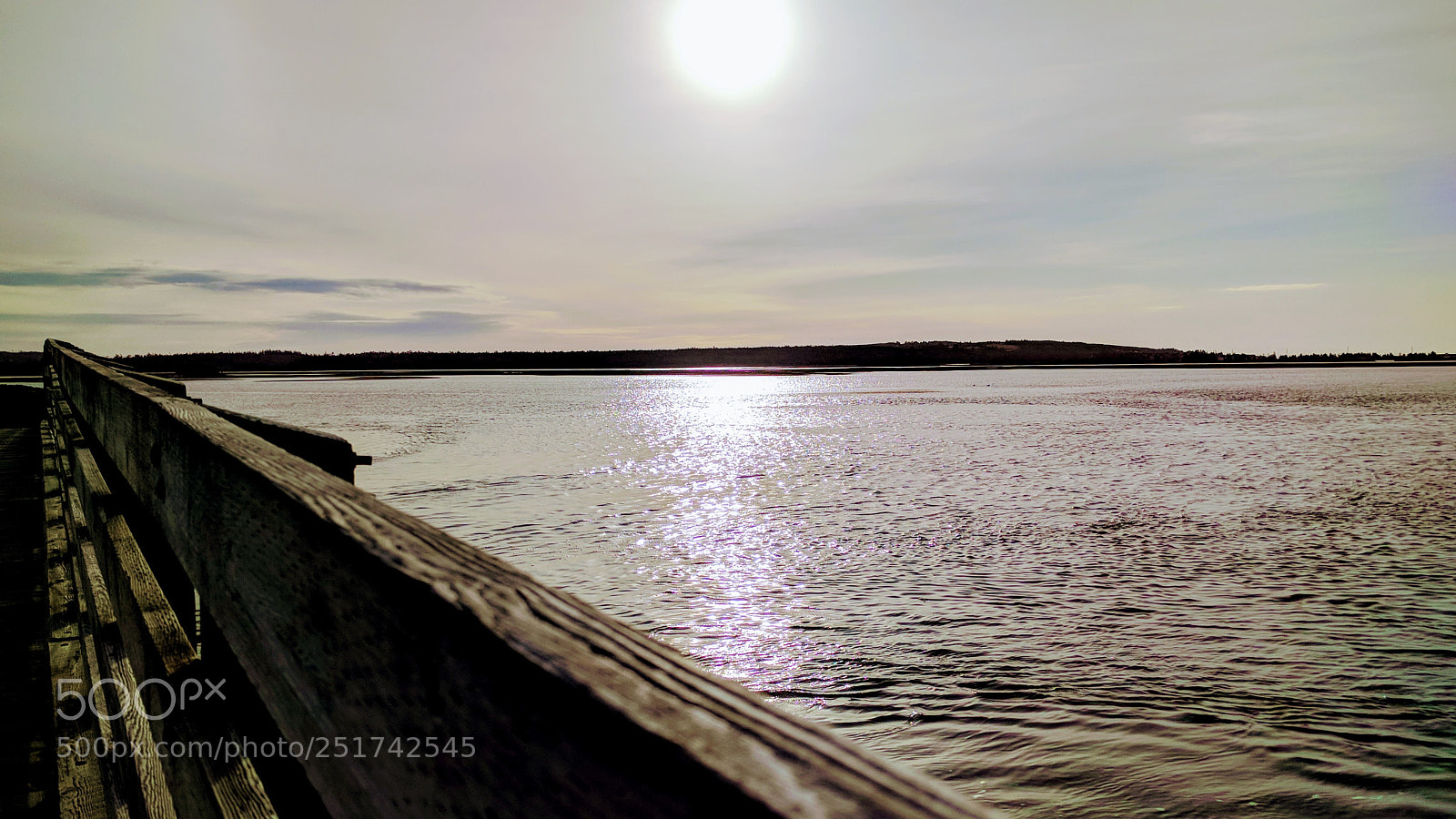 Google Nexus 6P sample photo. Salt marsh trail photography