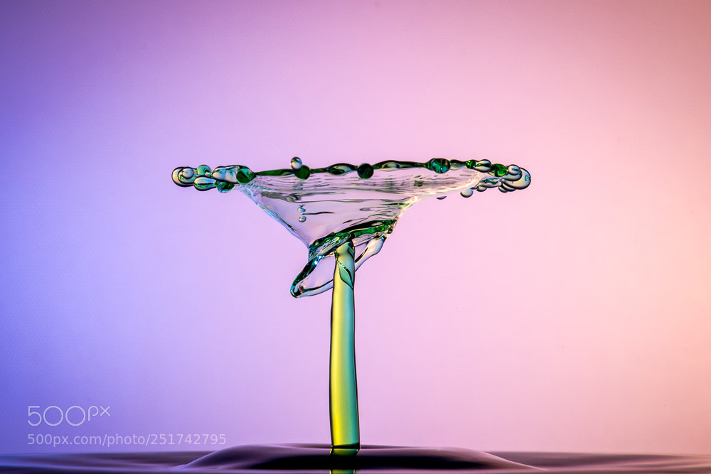 Nikon D500 sample photo. Splashart photography photography